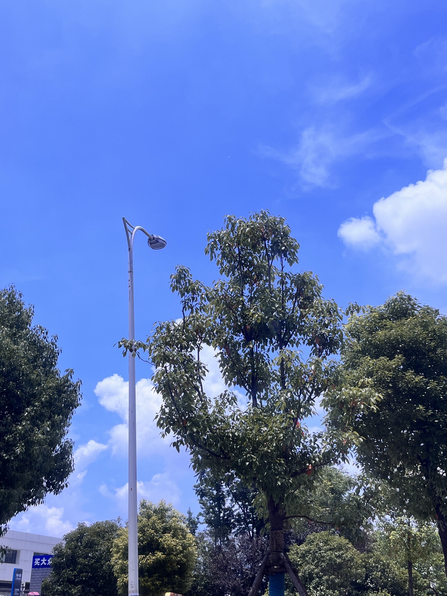 永州怀素公园旅行图片 1