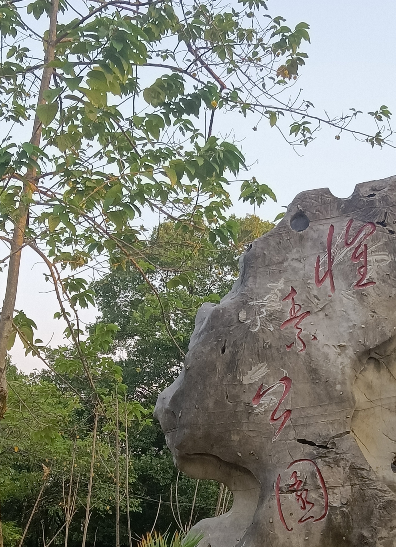 永州怀素公园旅行图片 1
