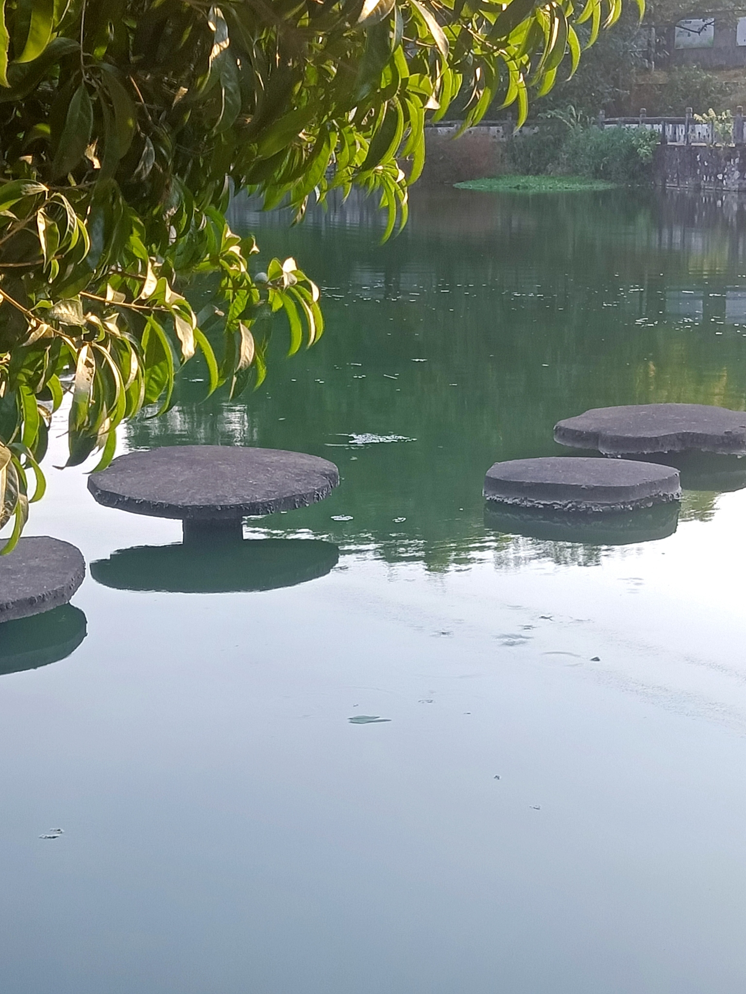 永州怀素公园旅行图片 2