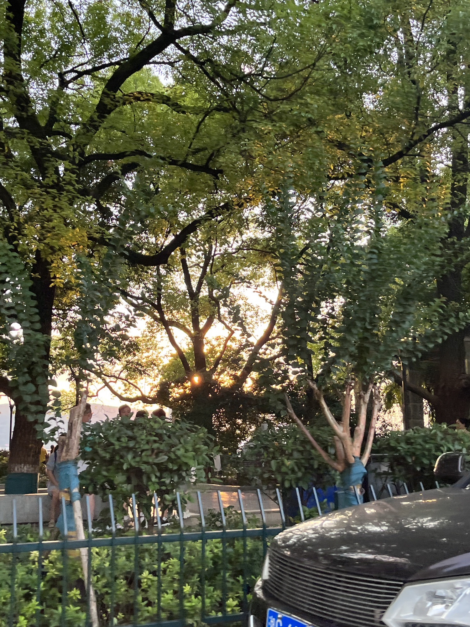 永州怀素公园旅行图片 3