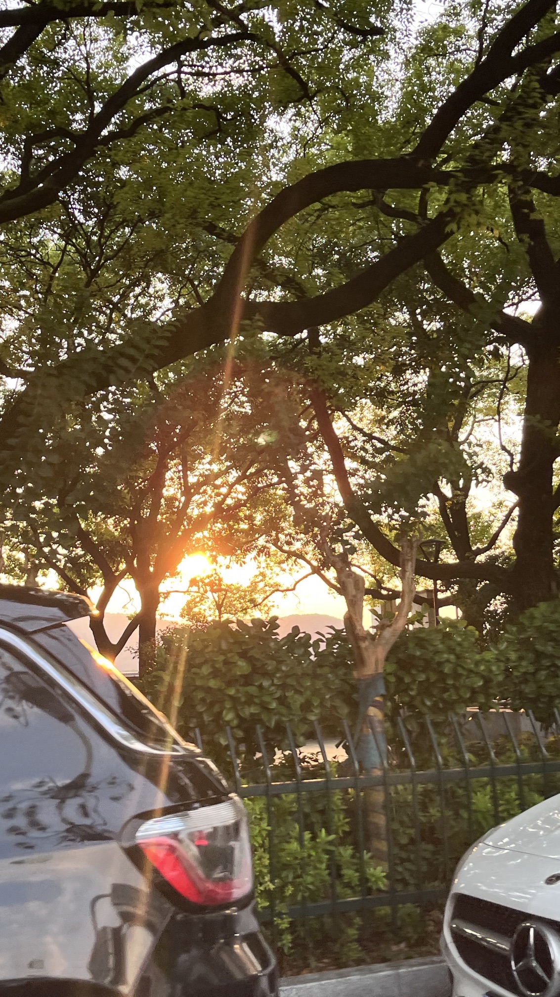 永州怀素公园旅行图片 2