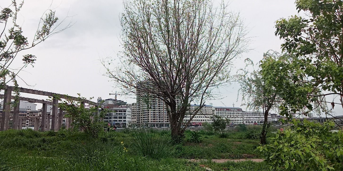 思柳桥旅行图片 3