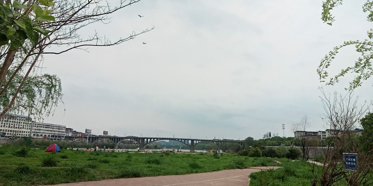 思柳桥旅行图片 1