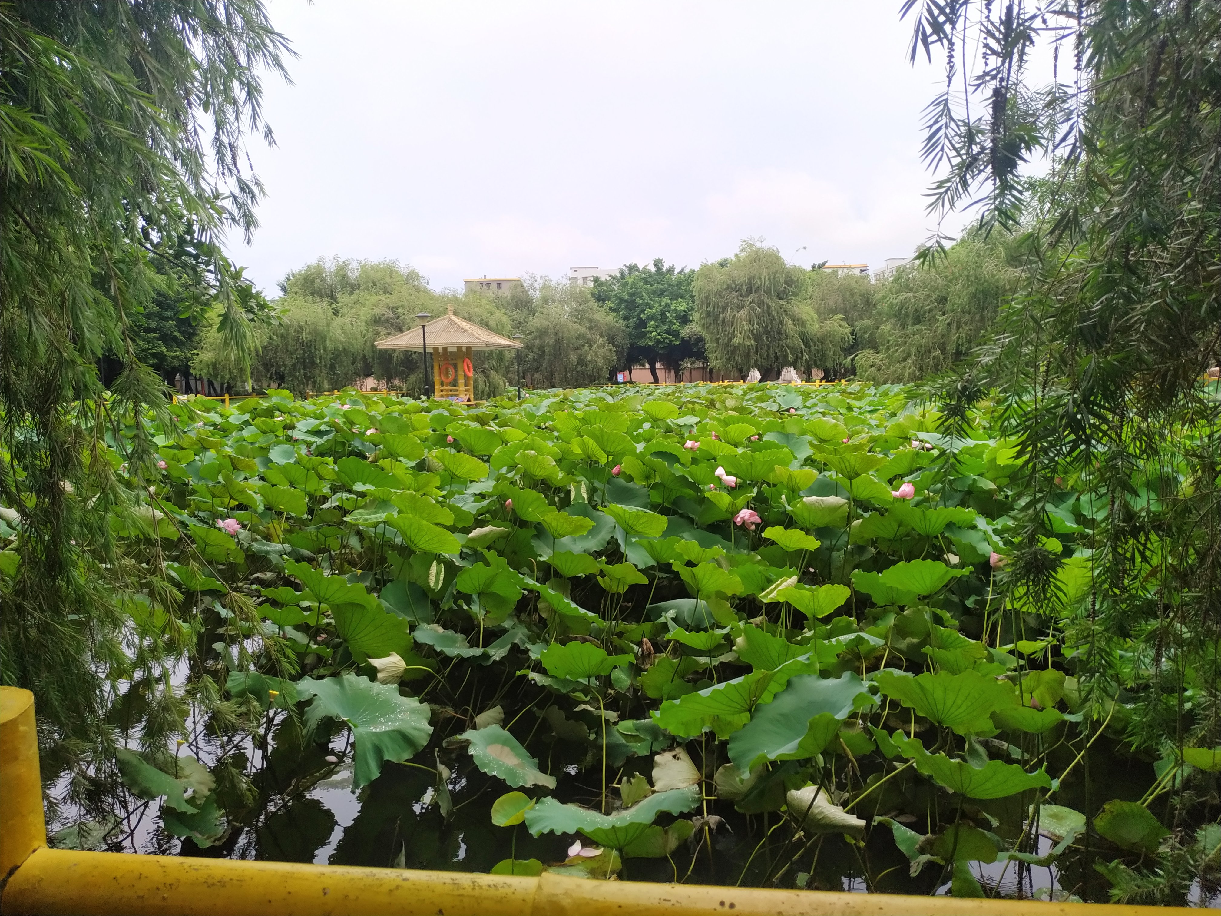 祥龙公园旅行图片 2