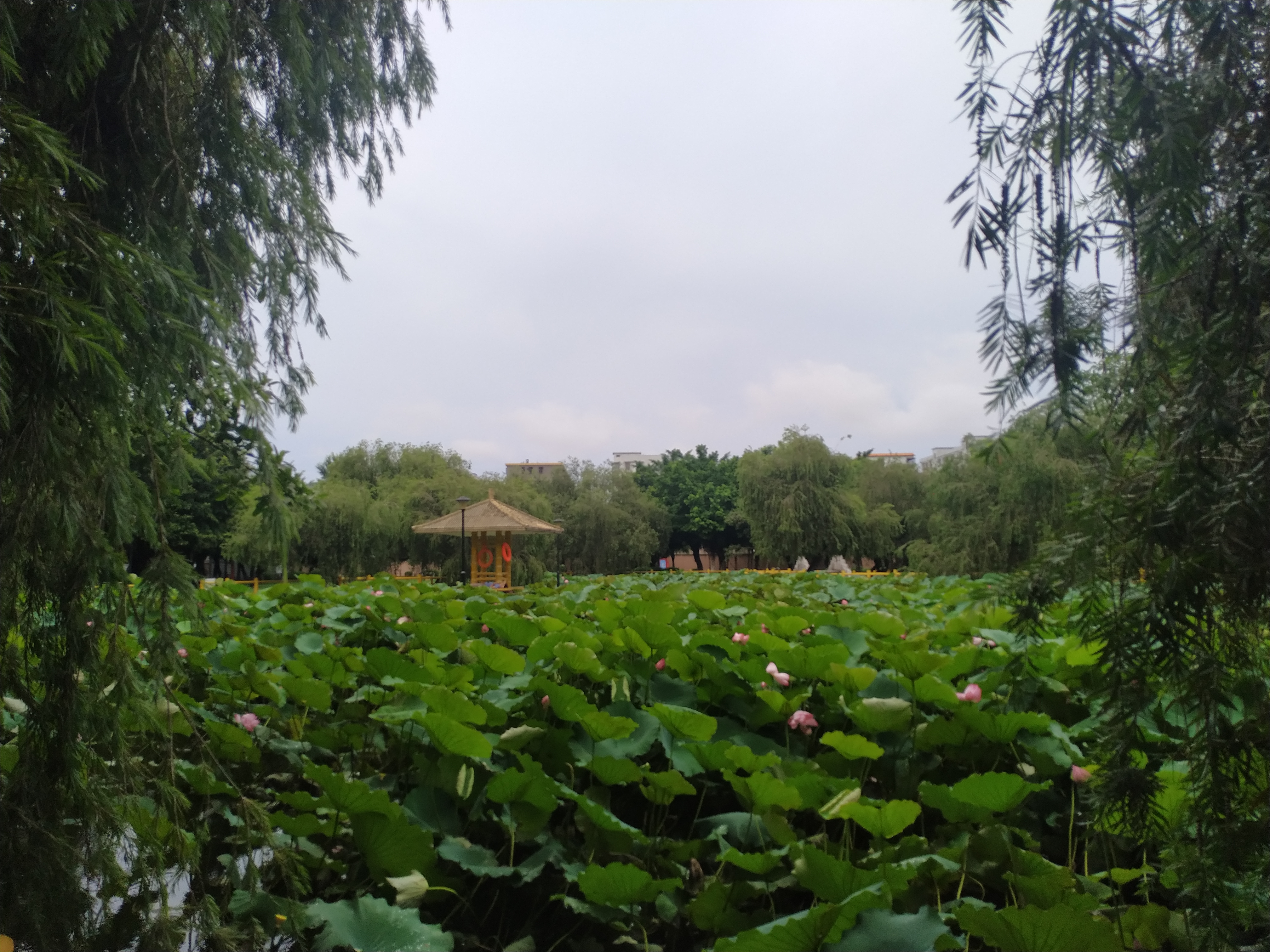 祥龙公园旅行图片 3