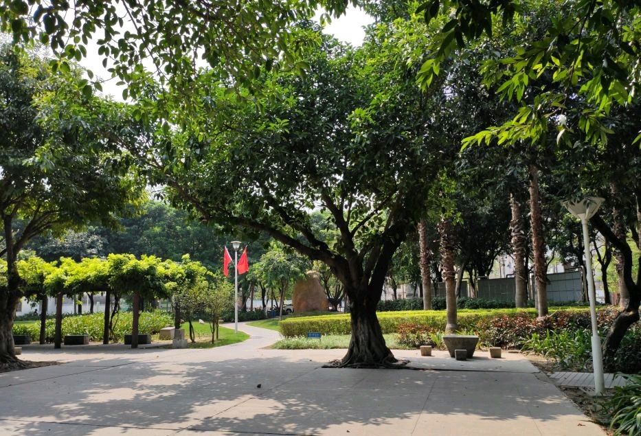 南山公园旅行图片 2
