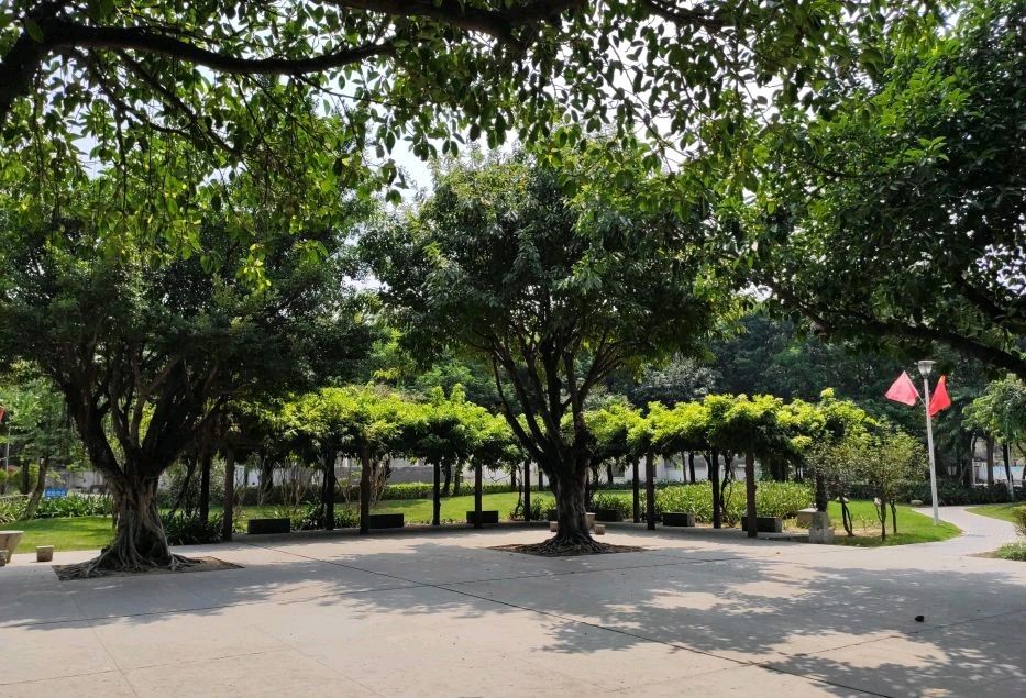 南山公园旅行图片 3