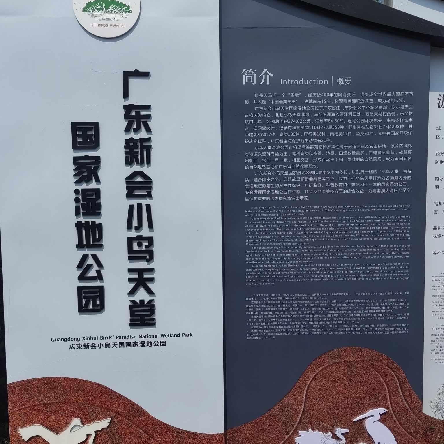 小鸟天堂旅行图片 1