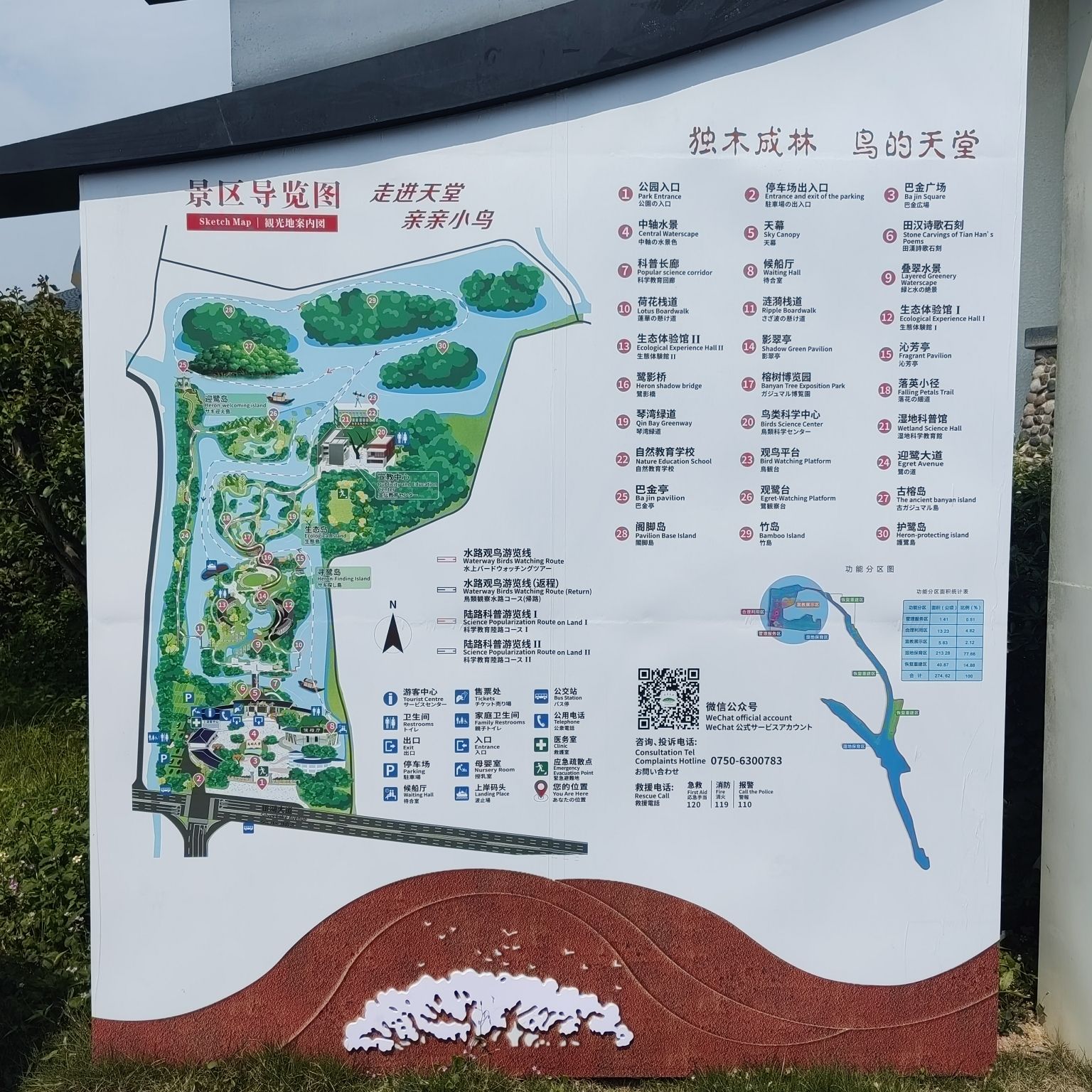 小鸟天堂旅行图片 2