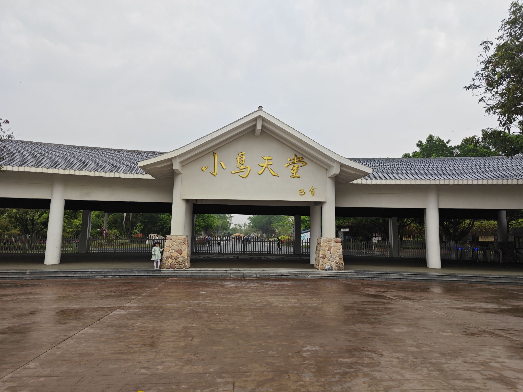 小鸟天堂旅行图片 1