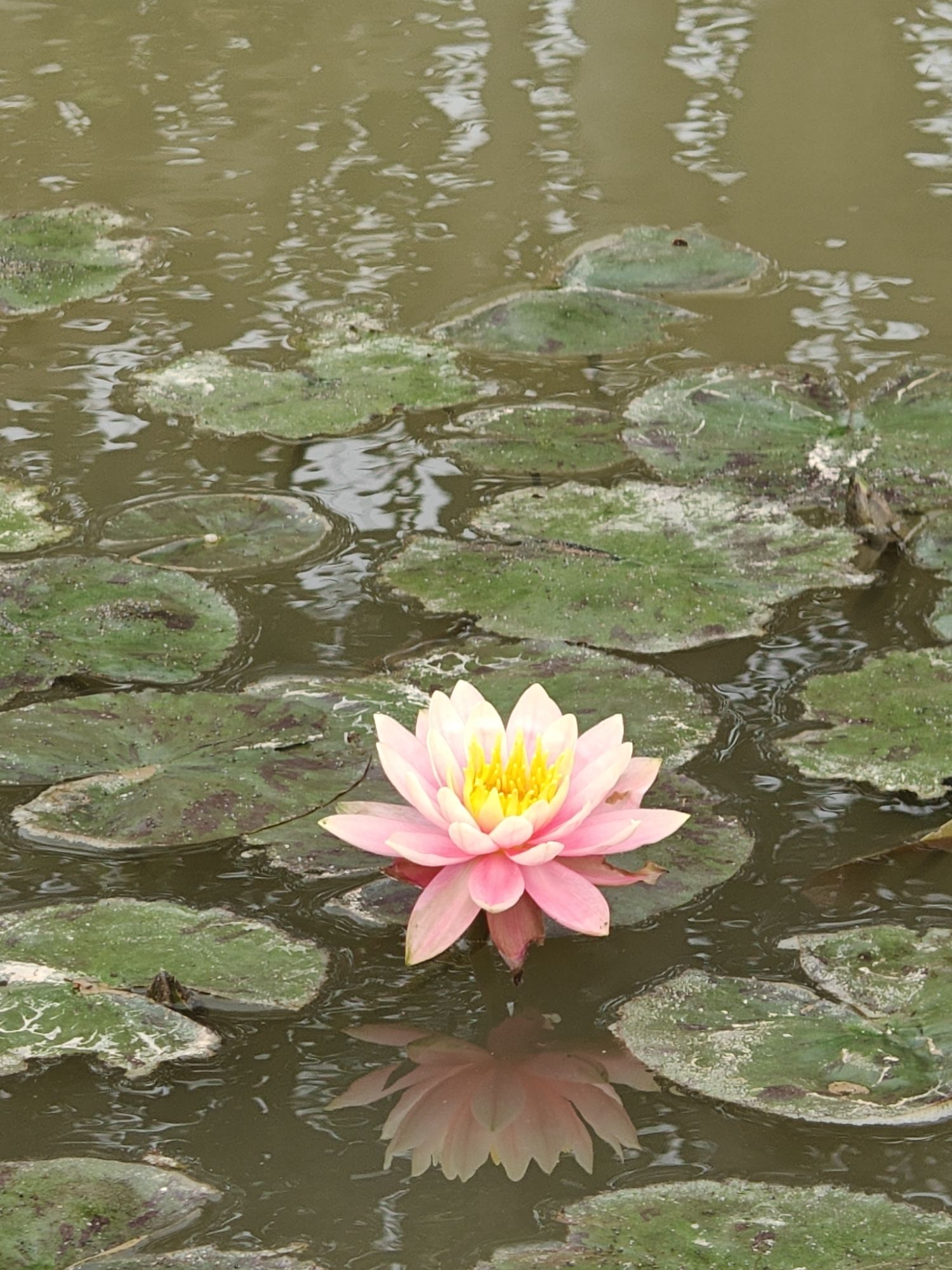 小鸟天堂旅行图片 1