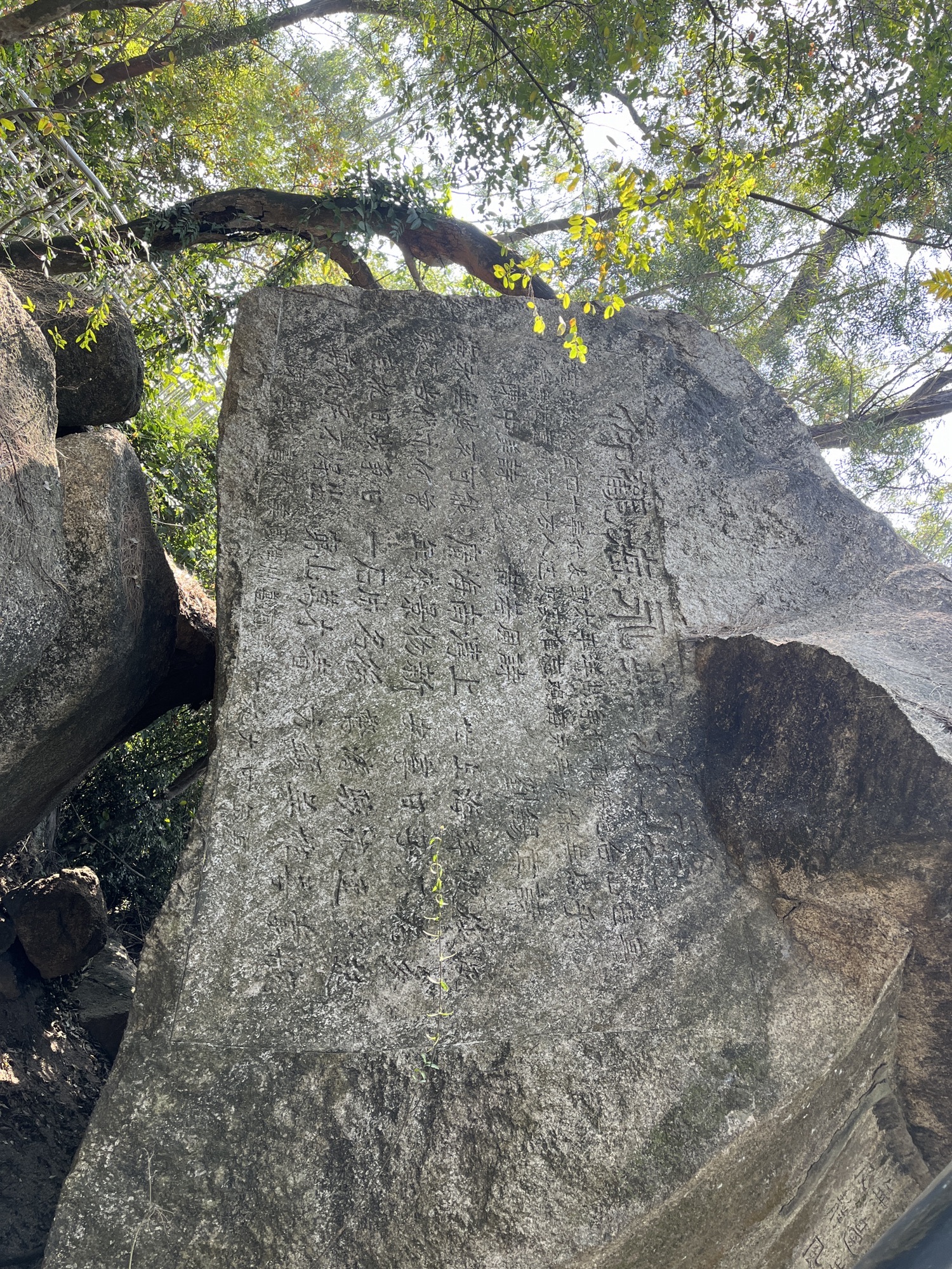 海永无波公园旅行图片 3