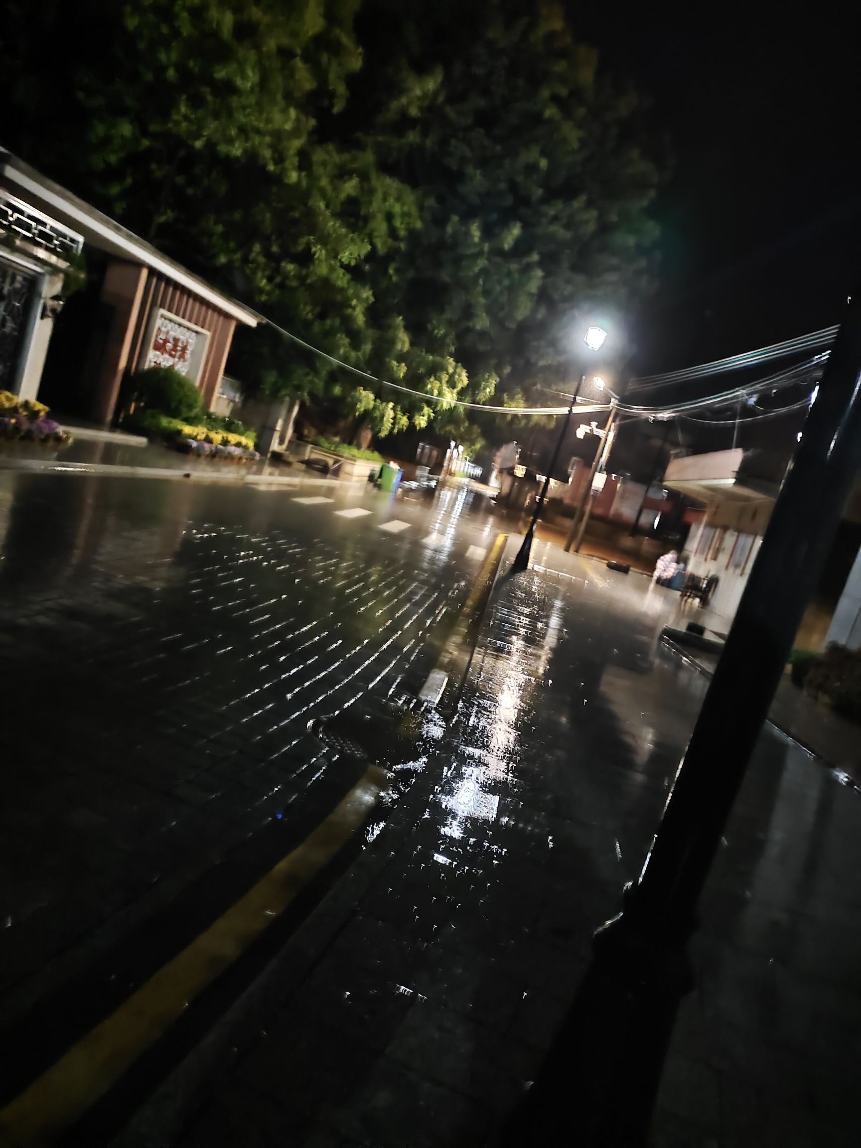 海永无波公园旅行图片 1