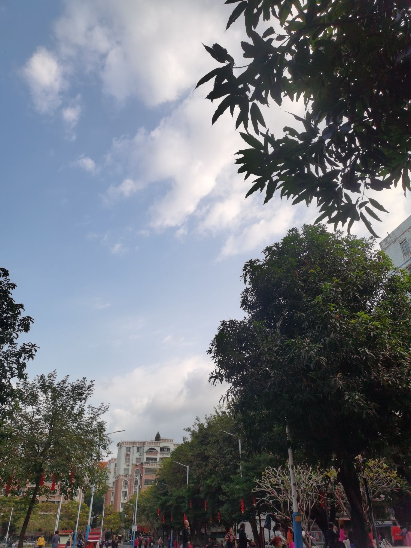 育德文体广场旅行图片 2