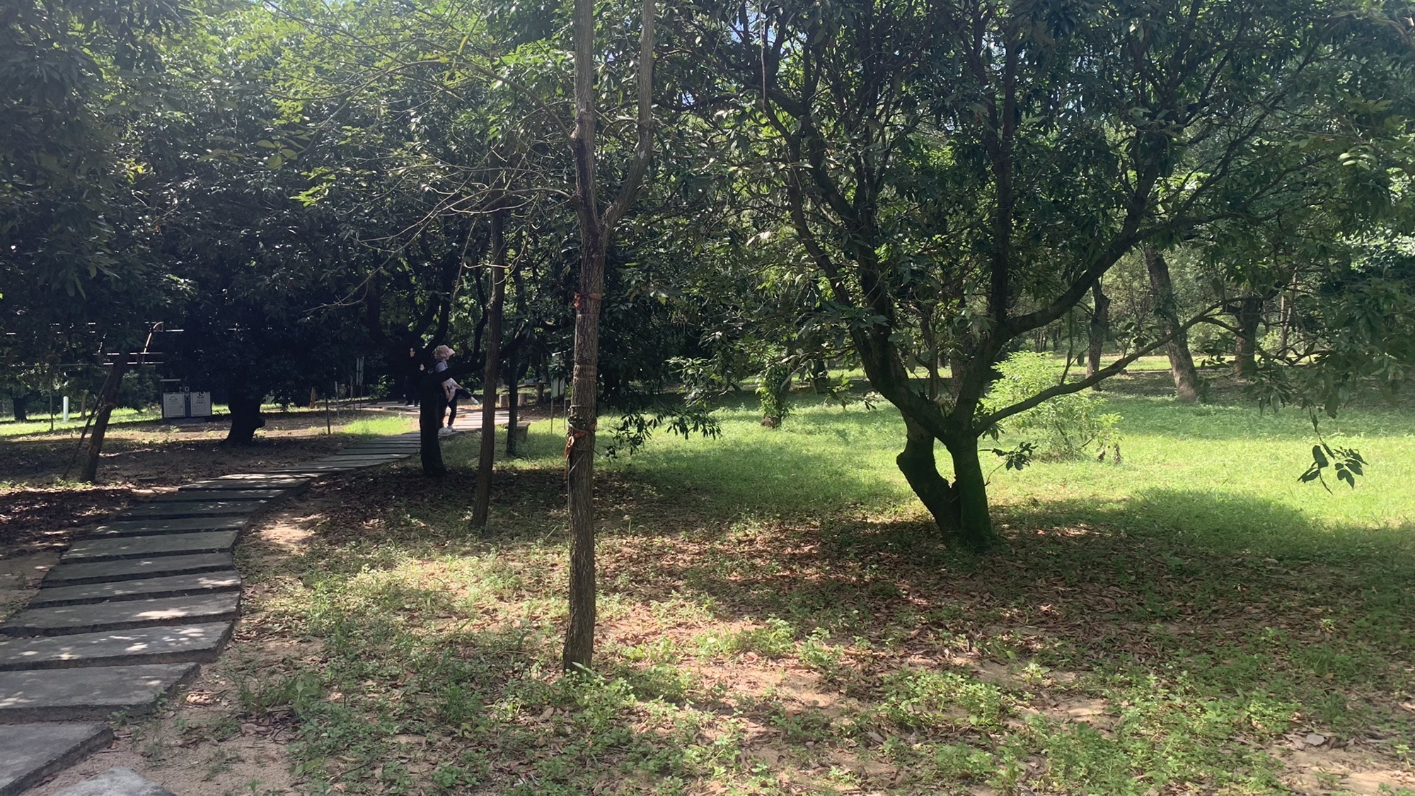 宋元崖门海战文化旅游区旅行图片 3