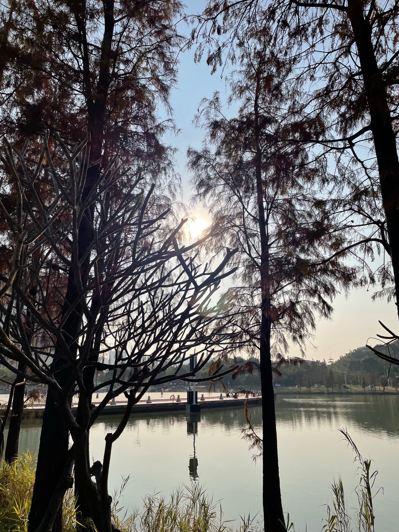鹤山公园旅行图片 1
