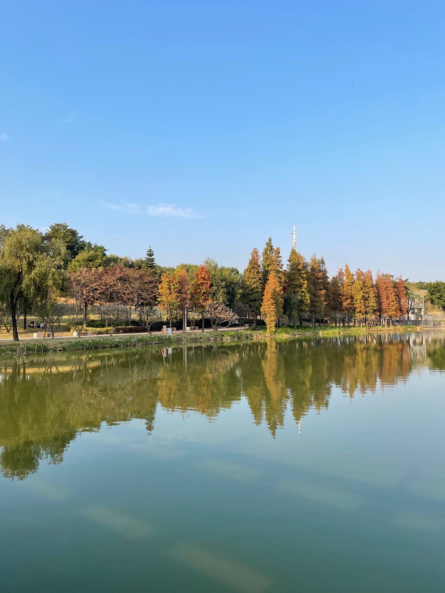 鹤山公园旅行图片 2