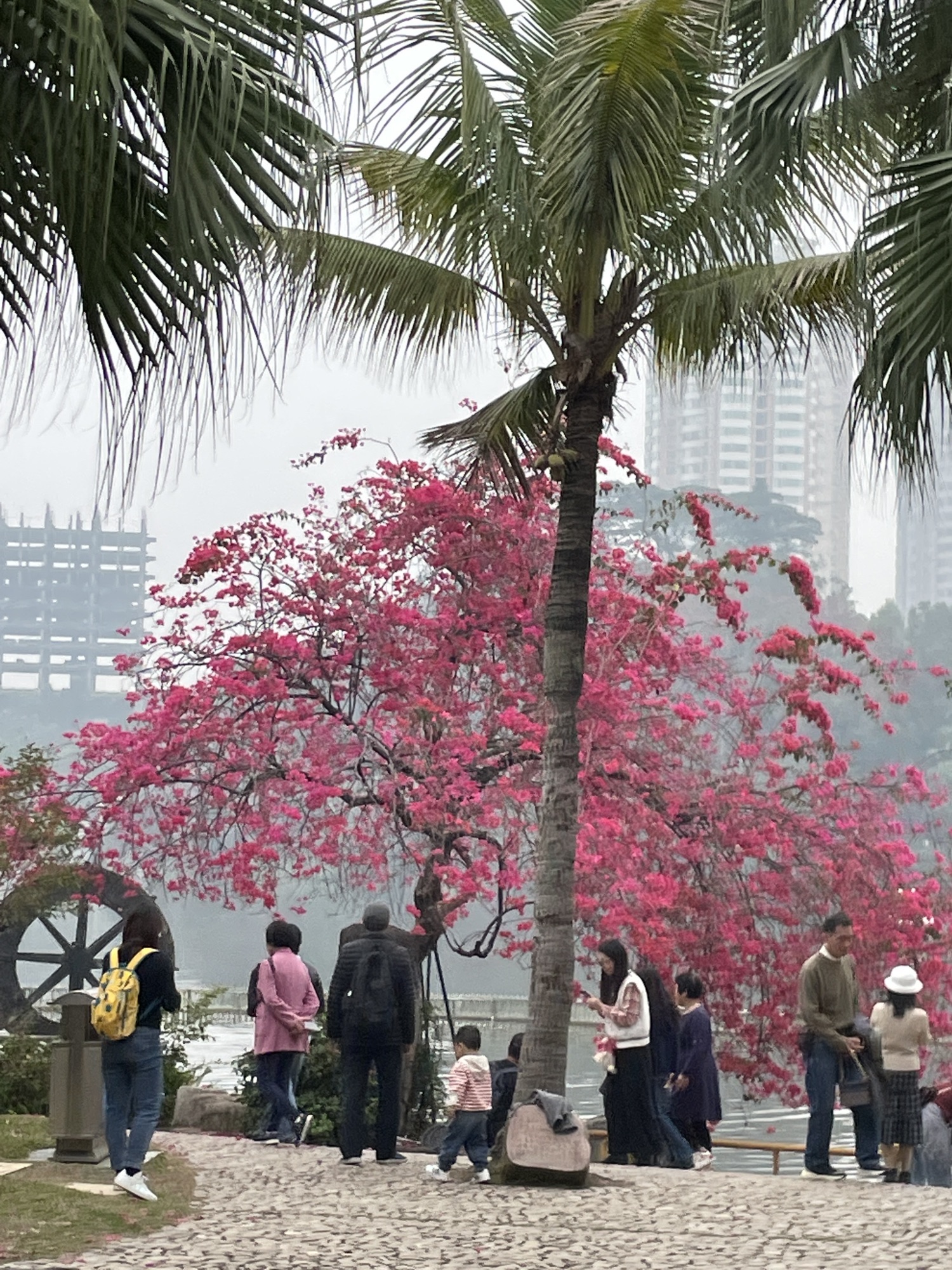 东湖公园旅行图片 3