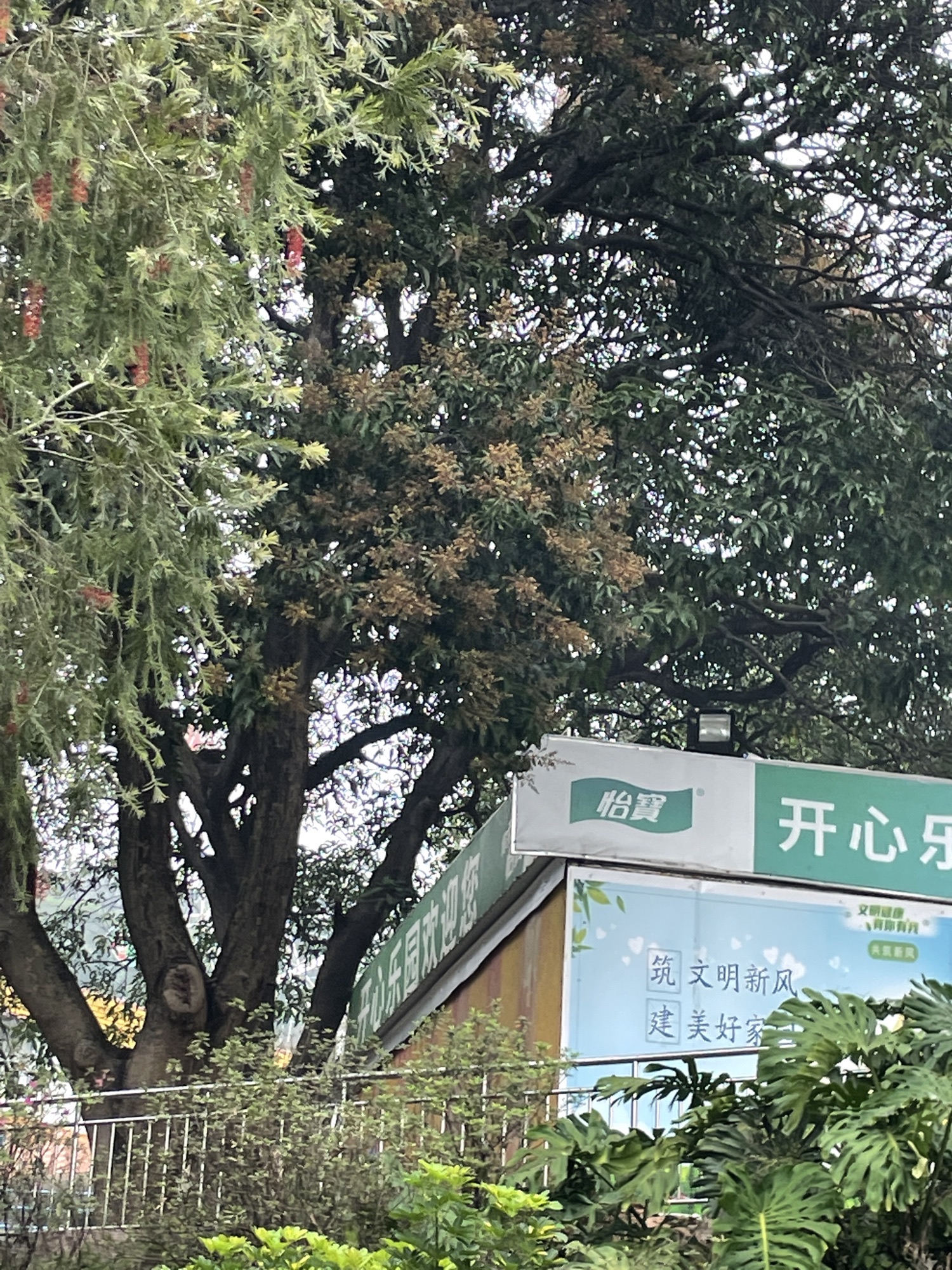东湖公园旅行图片 2