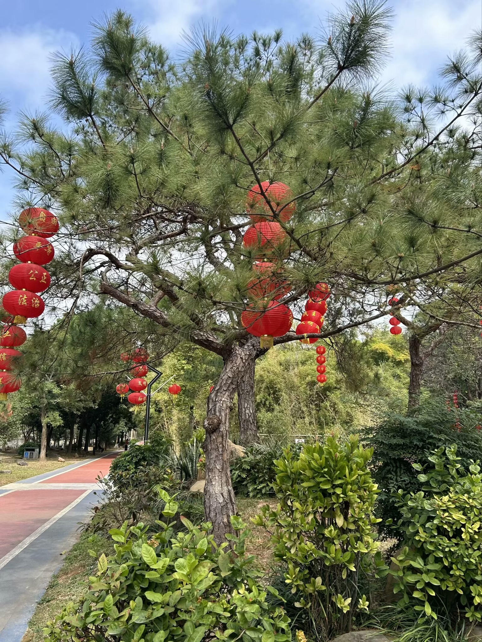 东湖公园旅行图片 1