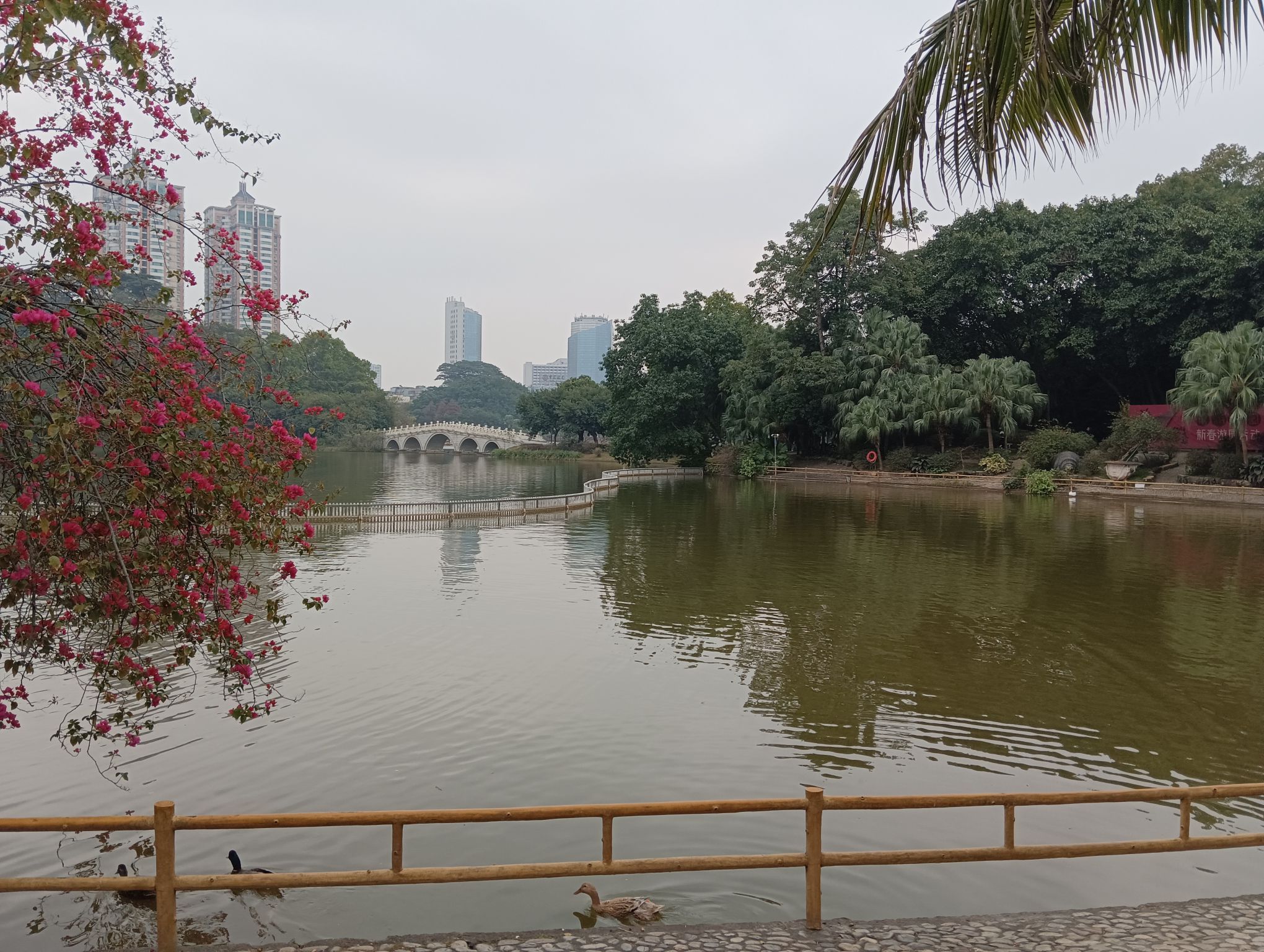 东湖公园旅行图片 3