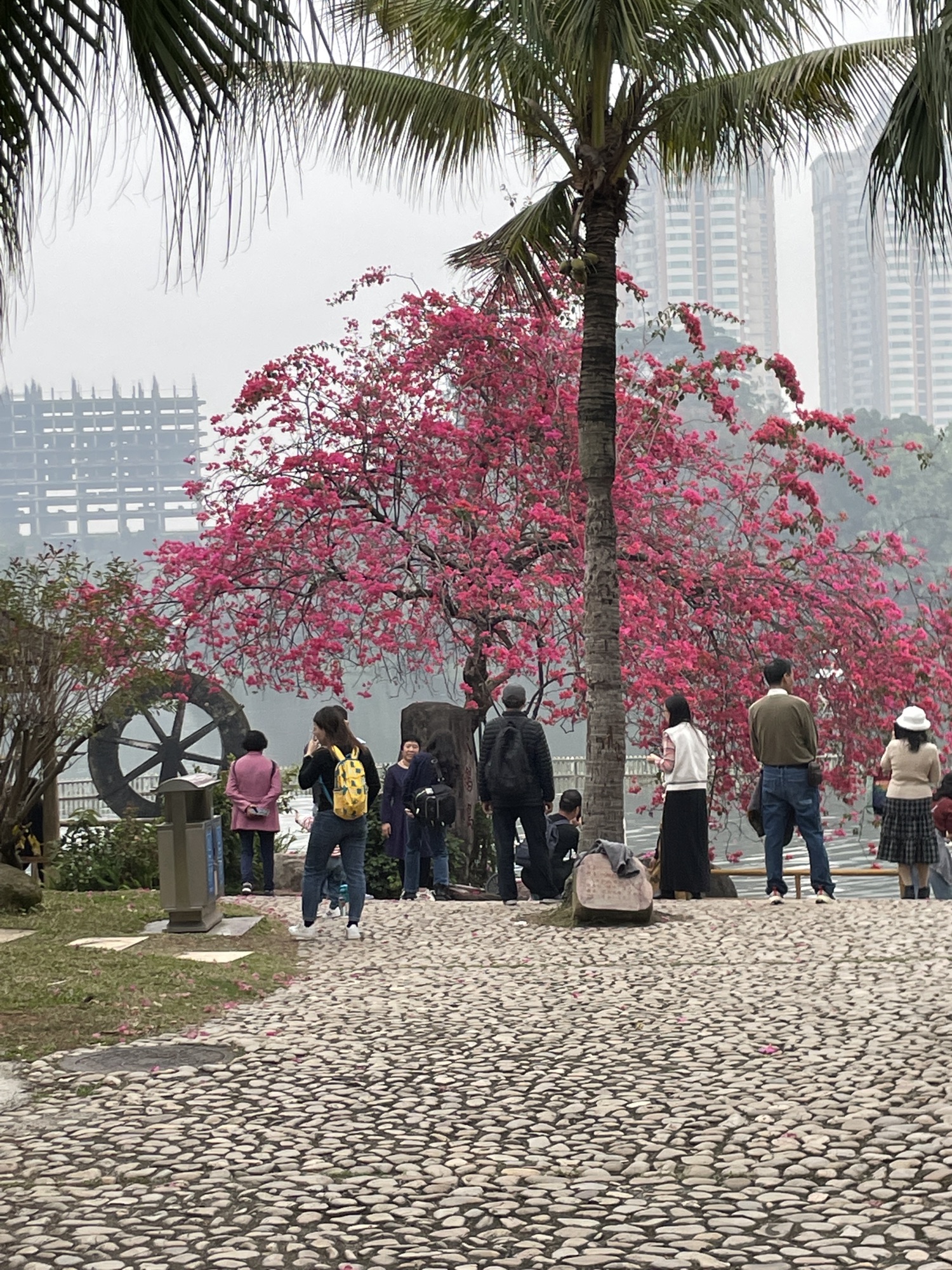 东湖公园旅行图片 1
