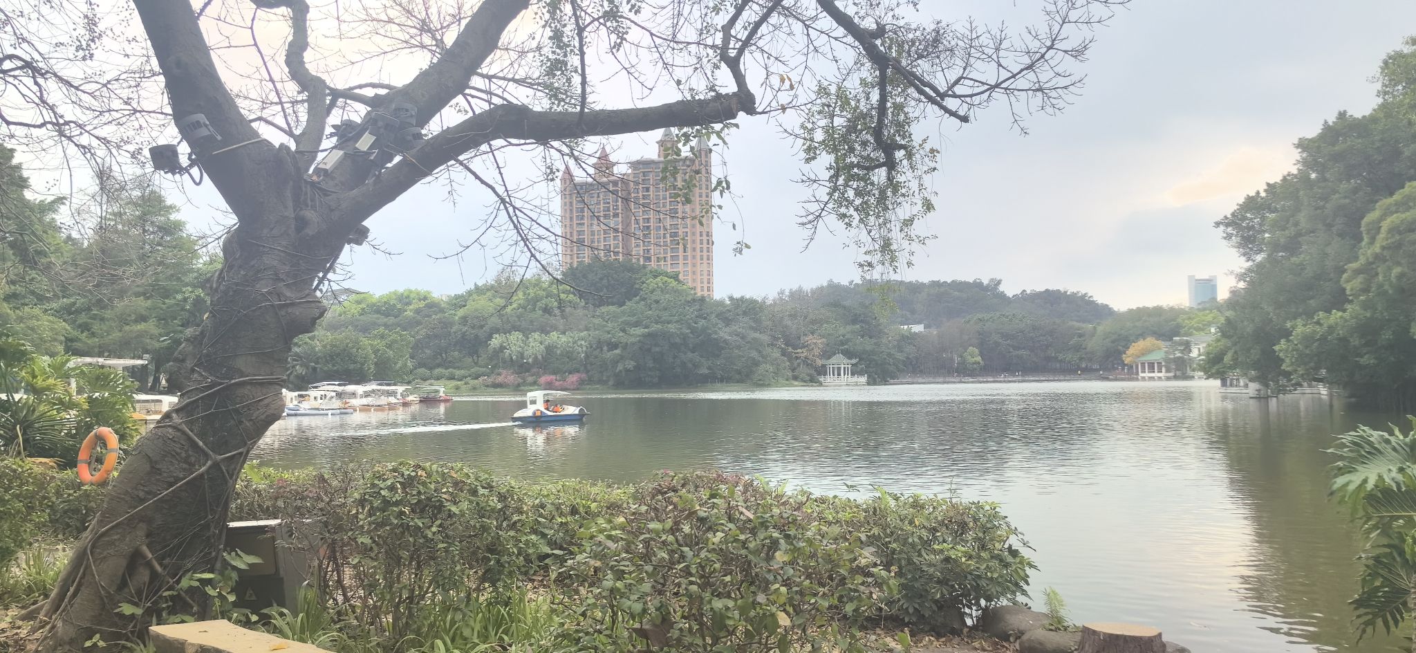 东湖公园旅行图片 1