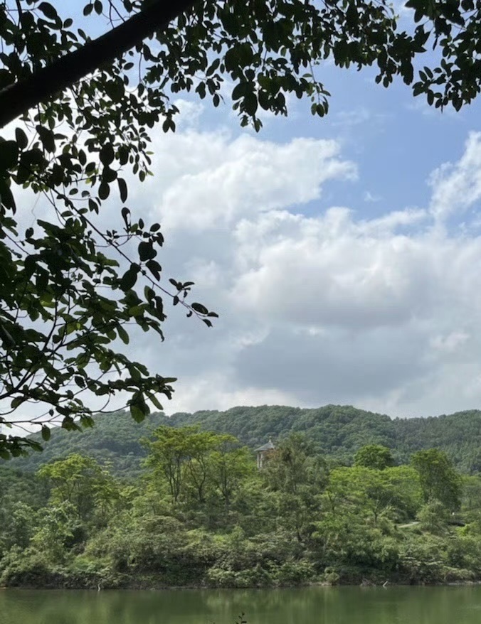 大西坑保护区旅行图片 1