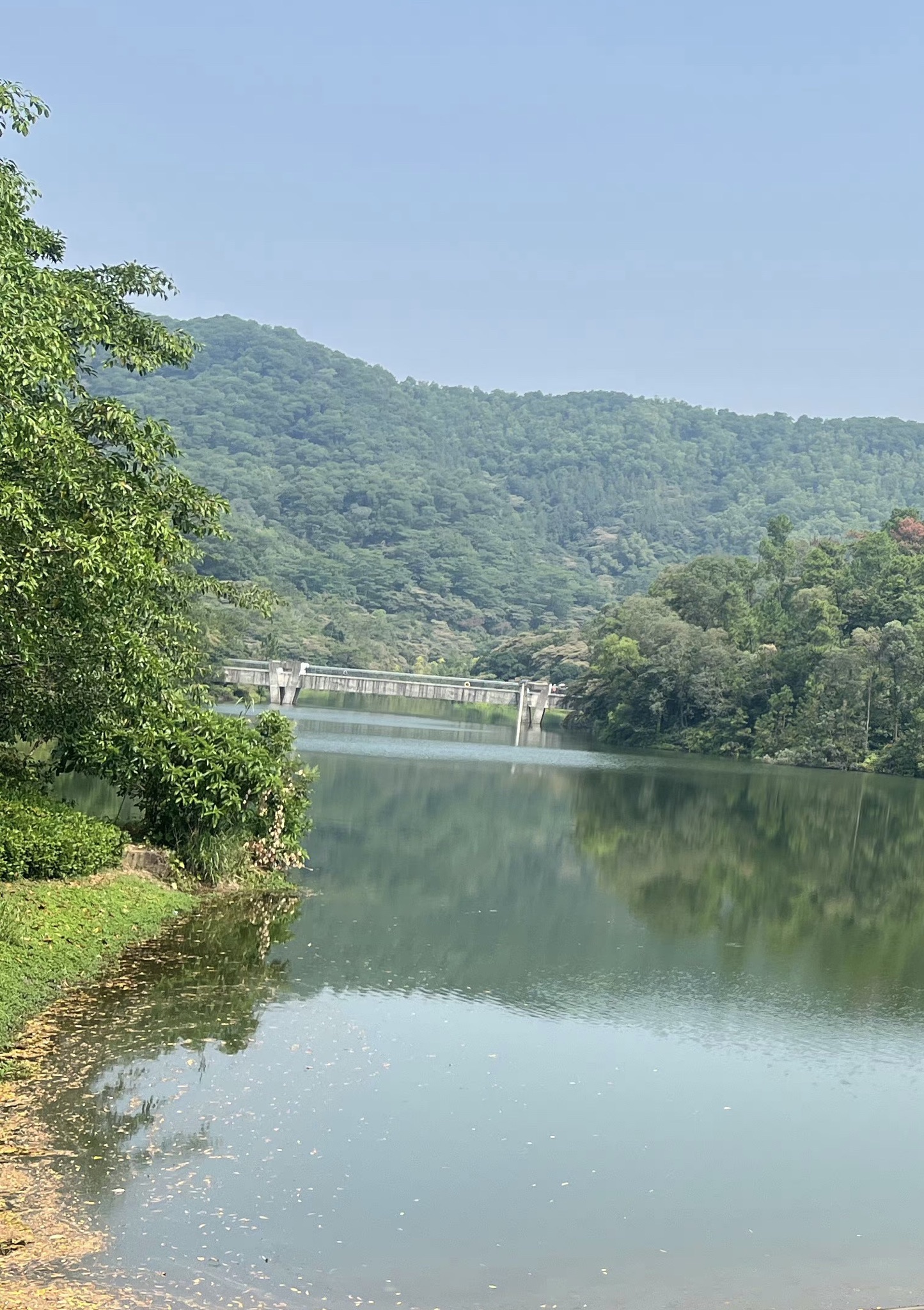 大西坑保护区旅行图片 3