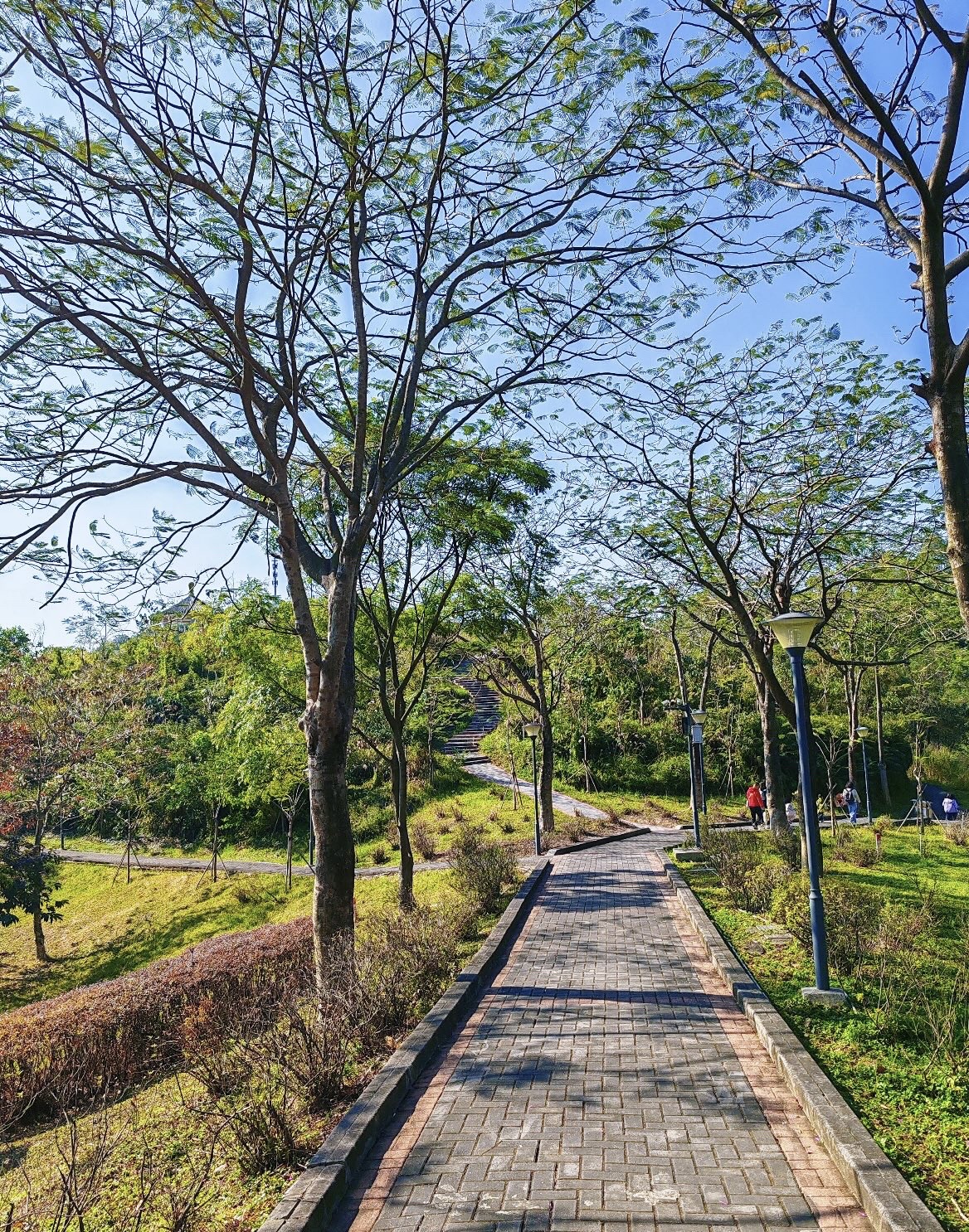 大西坑保护区旅行图片 3
