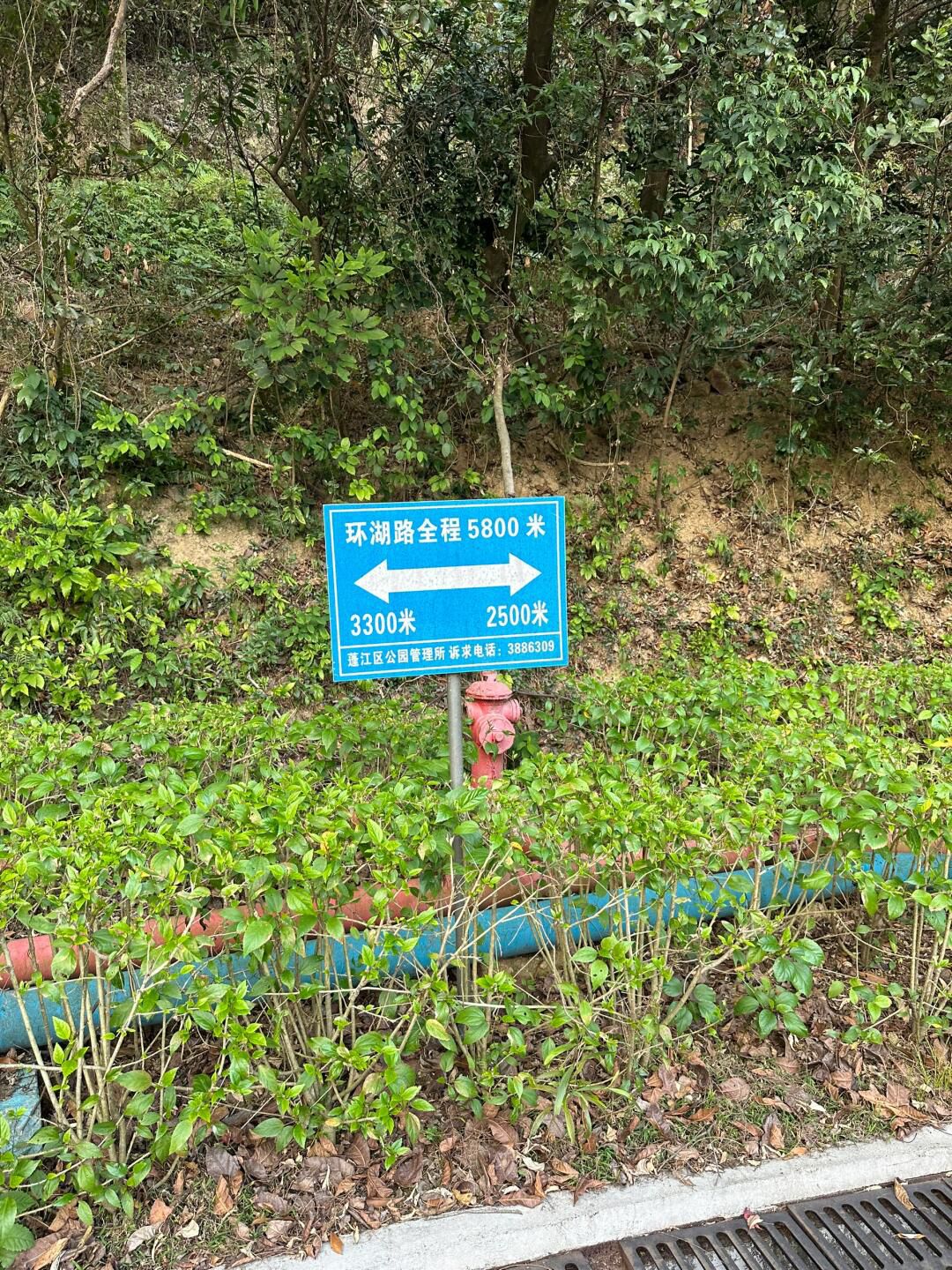 大西坑保护区旅行图片 2