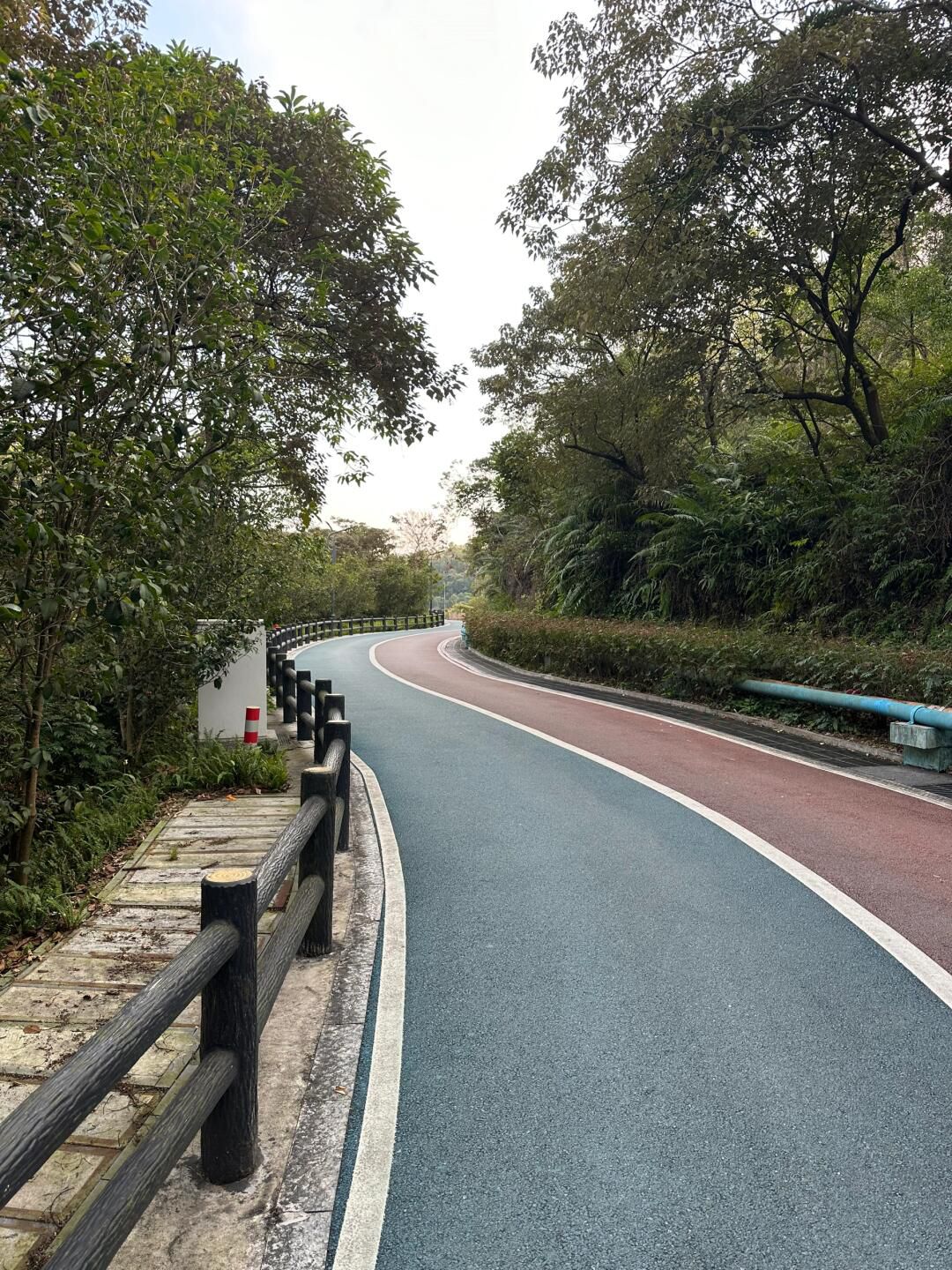 大西坑保护区旅行图片 1
