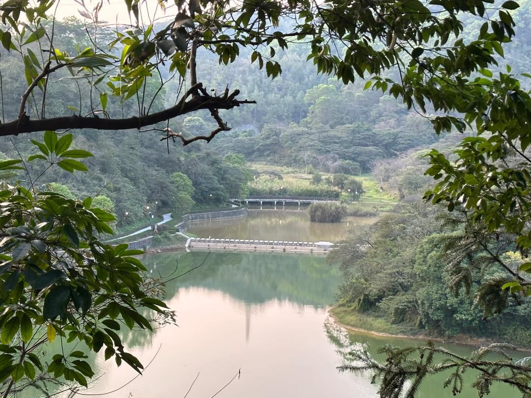 大西坑保护区旅行图片 3