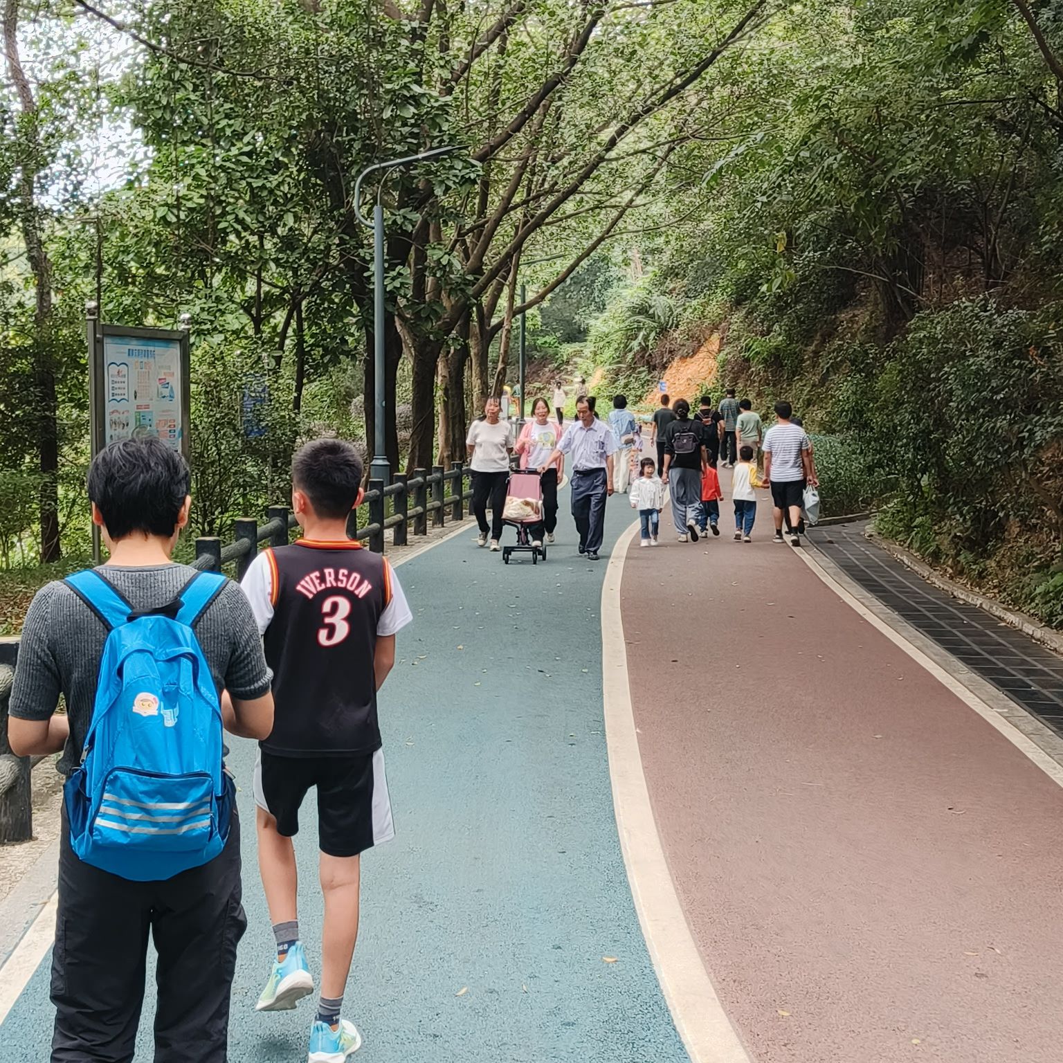 大西坑保护区旅行图片 1