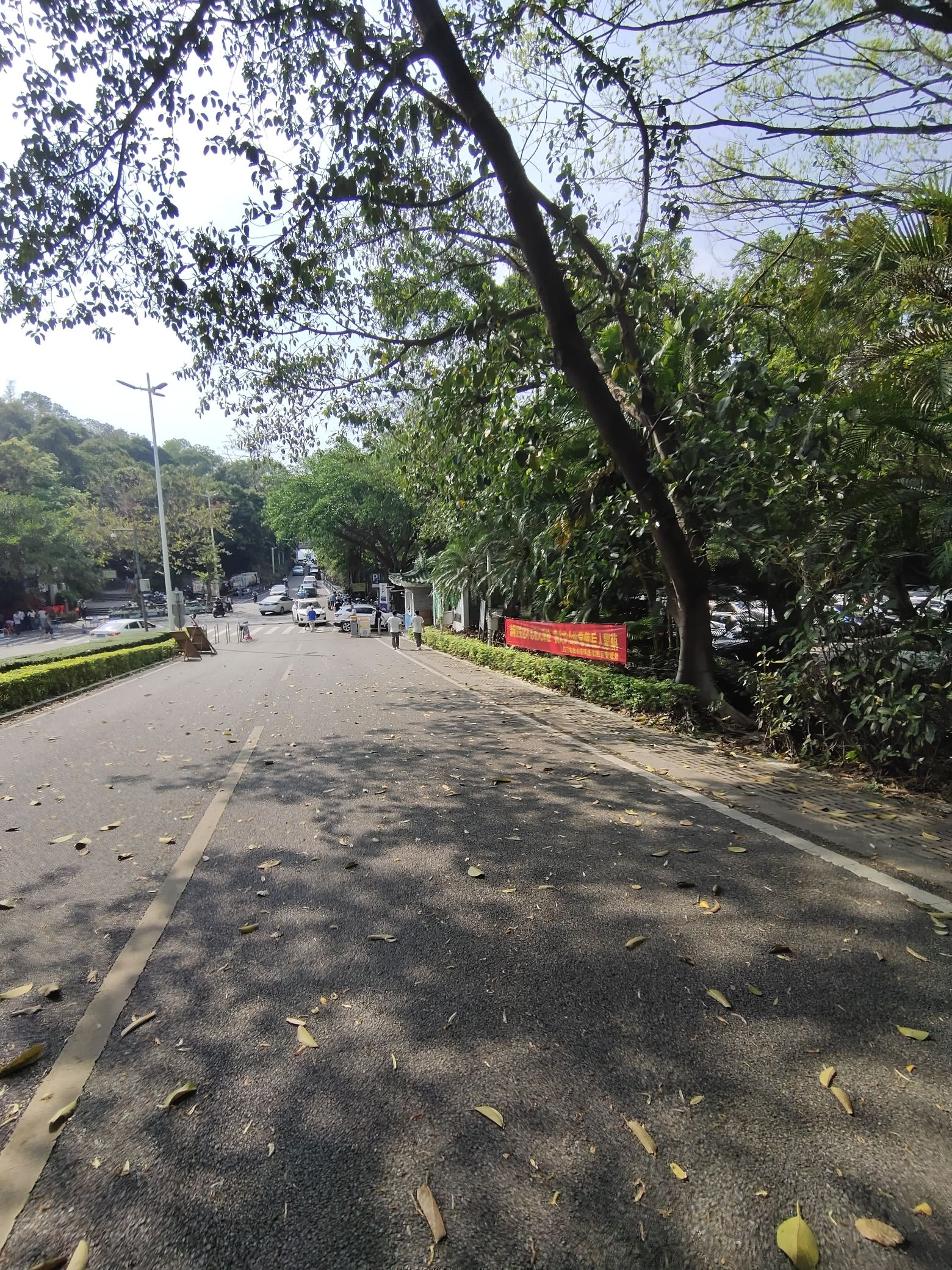 白水带风景区旅行图片 3