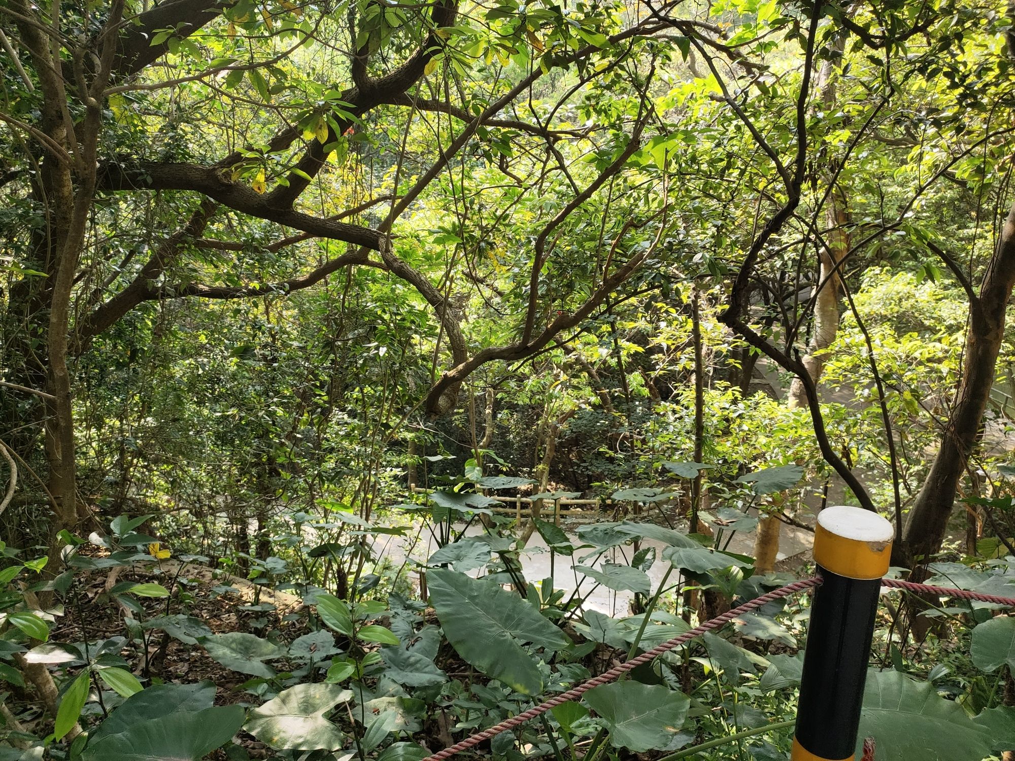 白水带风景区旅行图片 1