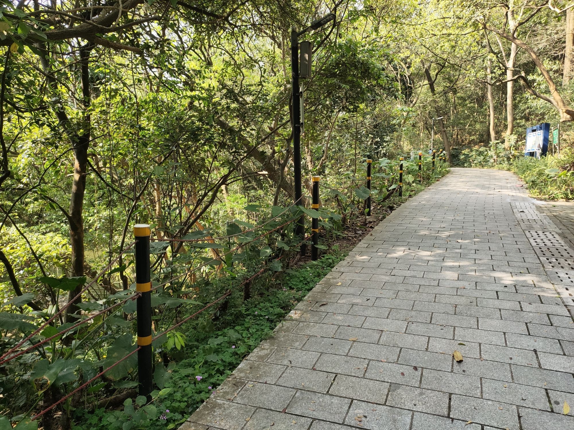 白水带风景区旅行图片 2