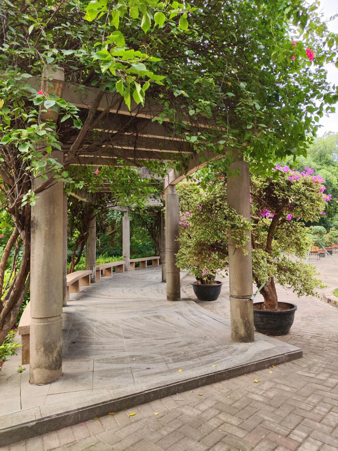白水带风景区旅行图片 1