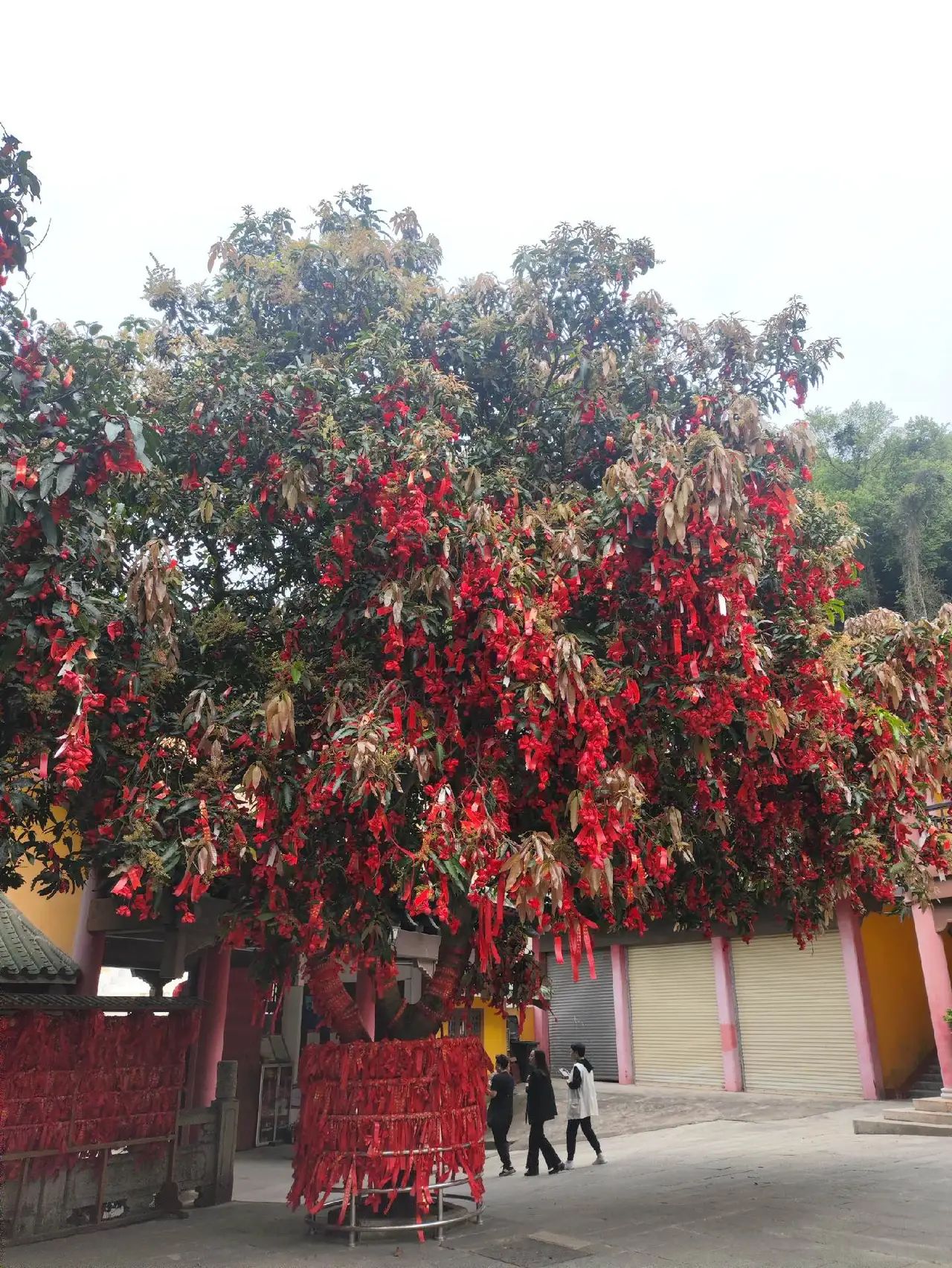 圭峰山风景名胜区旅行图片 3