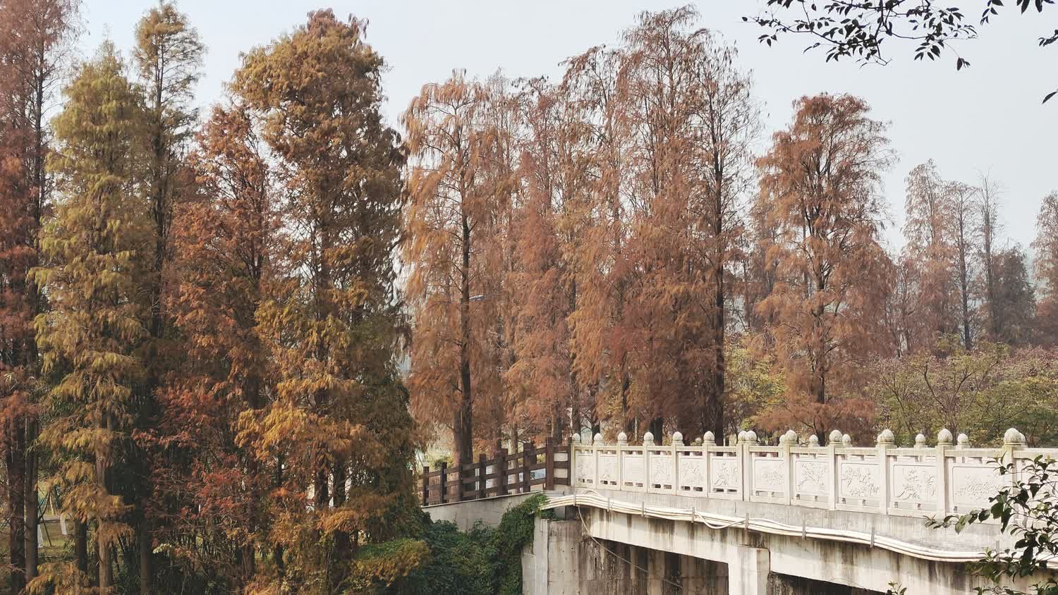圭峰山风景名胜区旅行图片 1
