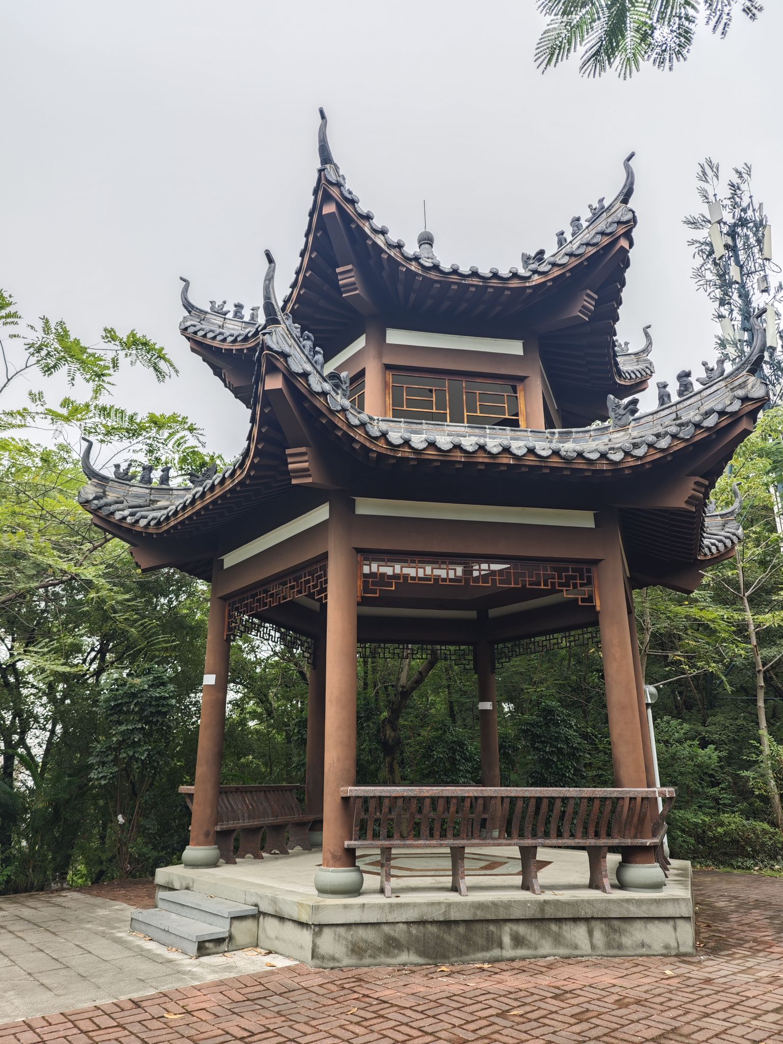 大云山公园旅行图片 3