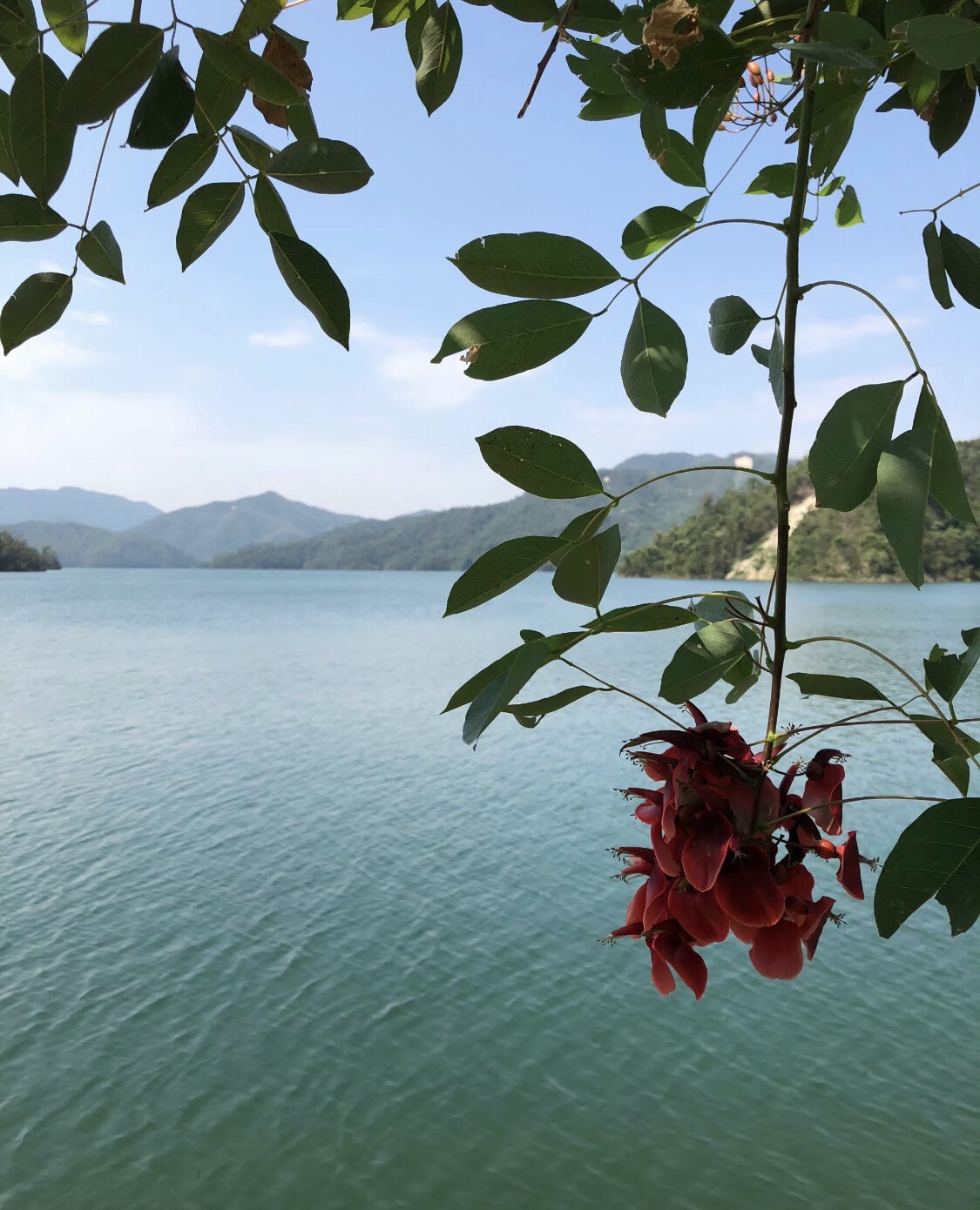 广东河排森林公园旅行图片 1