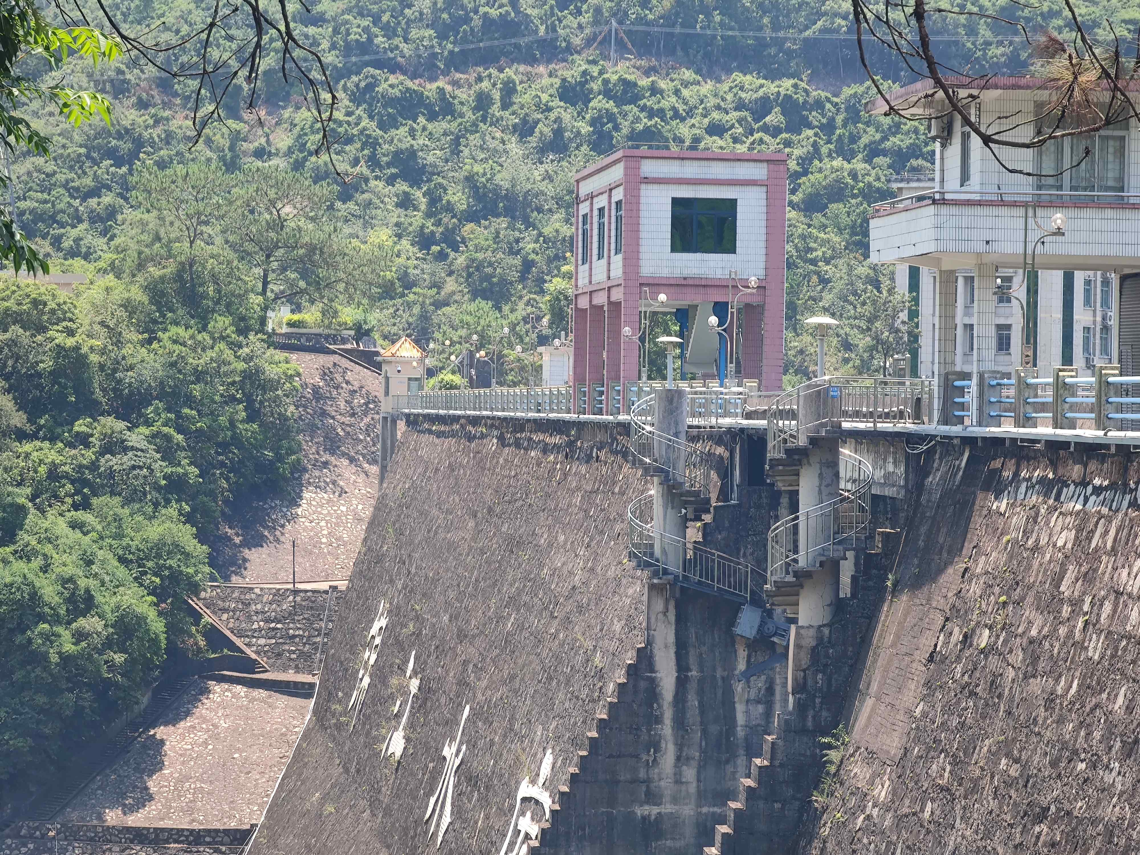 广东河排森林公园旅行图片 3
