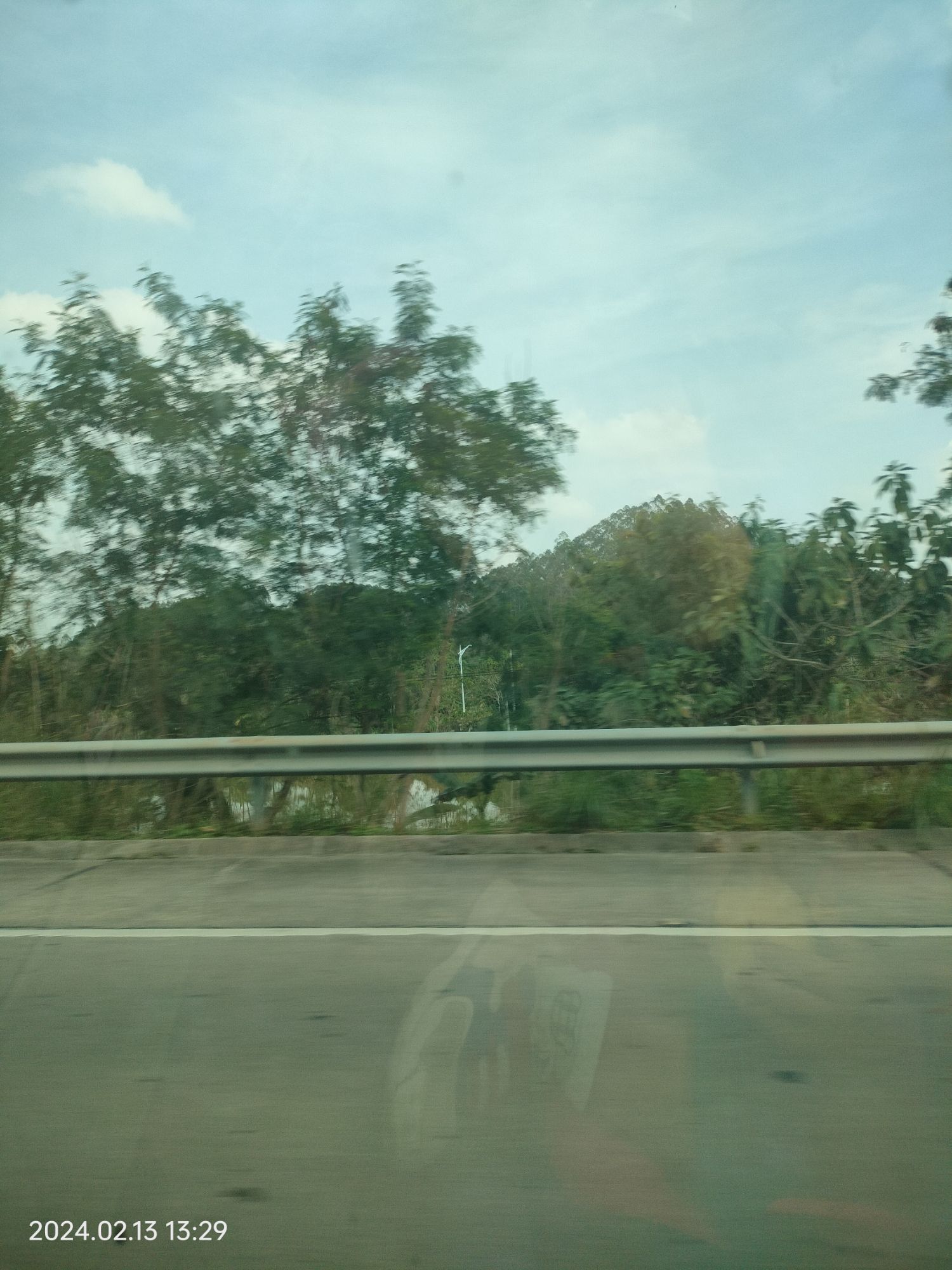 广东河排森林公园旅行图片 2
