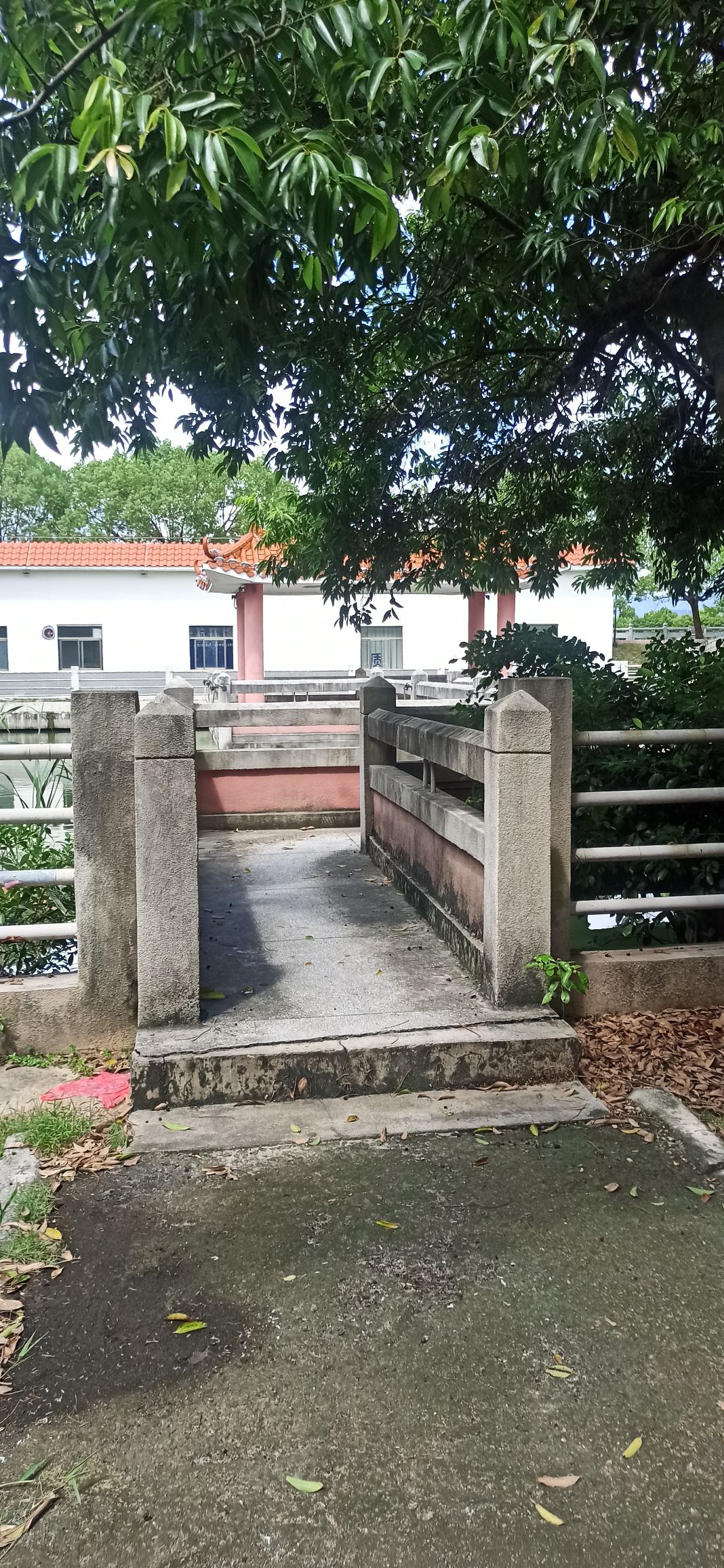 四九公园旅行图片 3