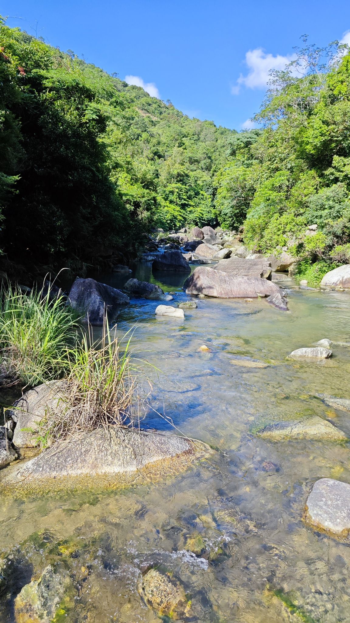 北峰山国家森林公园旅行图片 3
