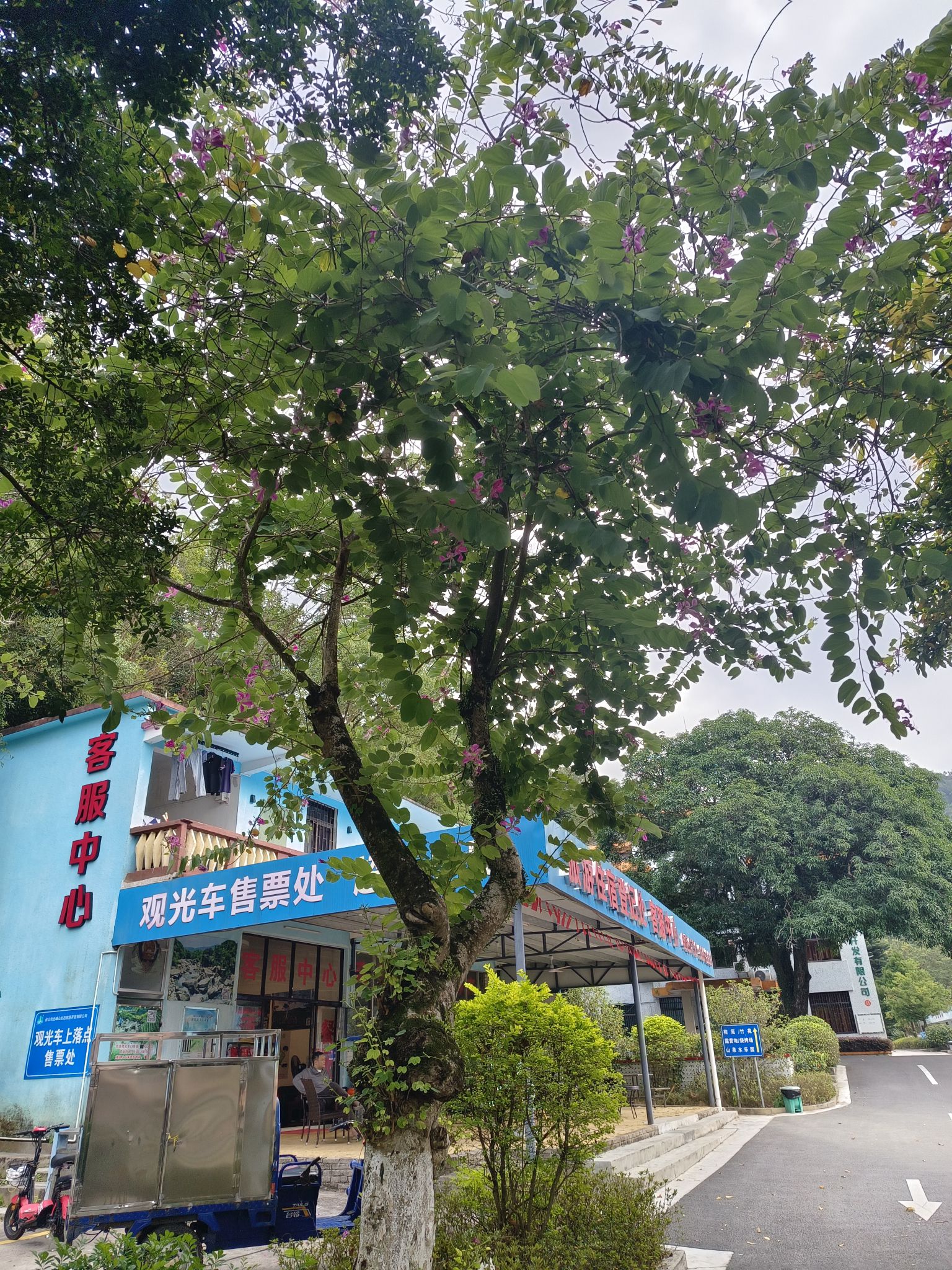 北峰山国家森林公园旅行图片 2