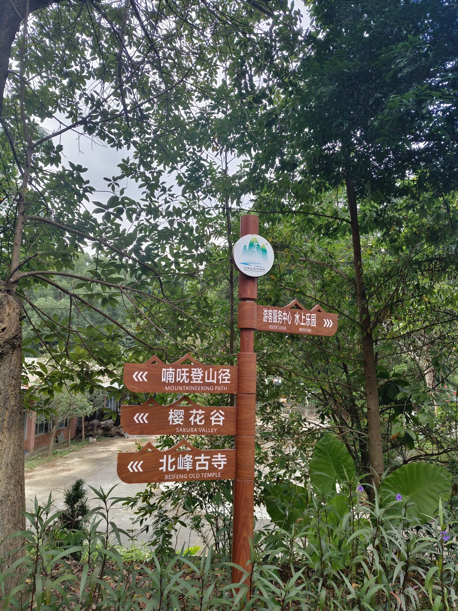 北峰山国家森林公园旅行图片 1