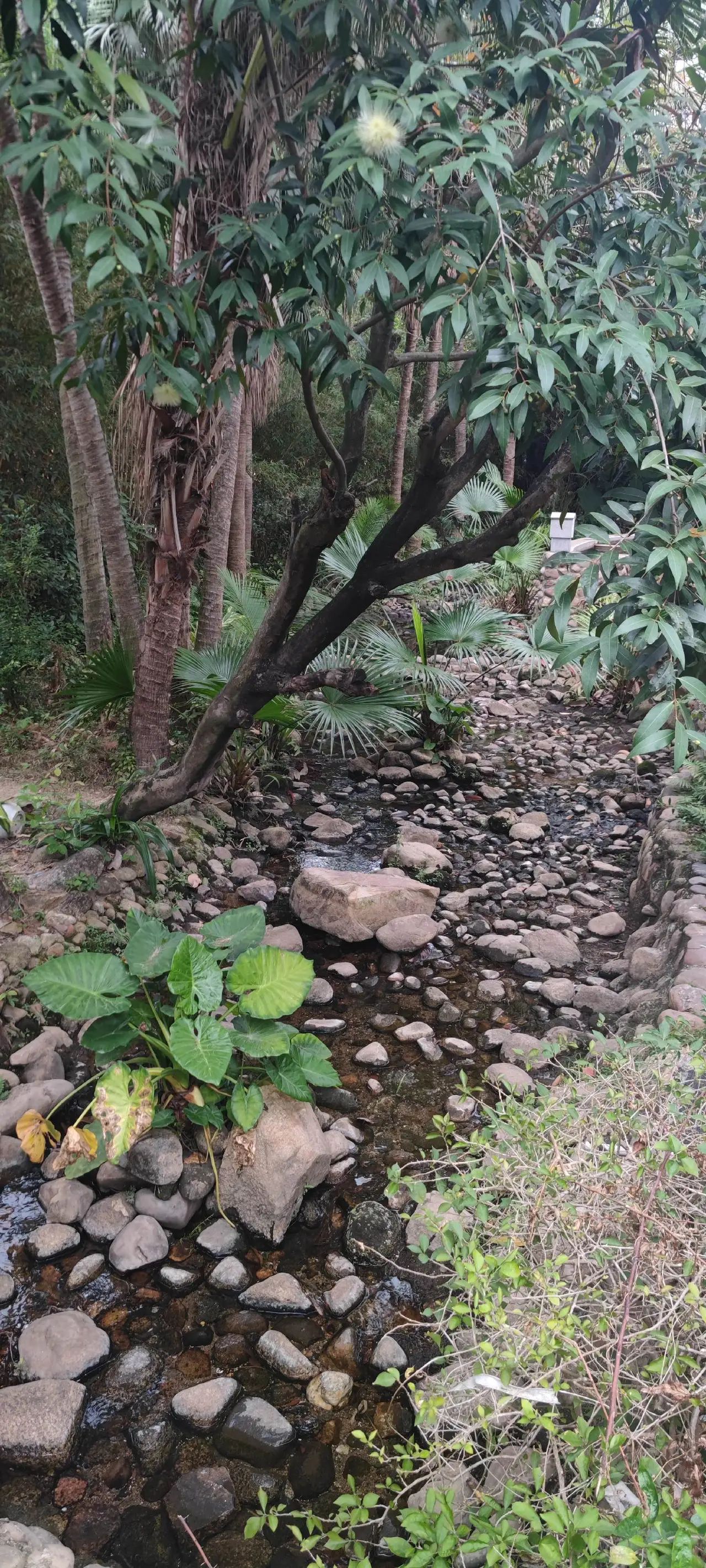 古兜温泉小镇旅行图片 3