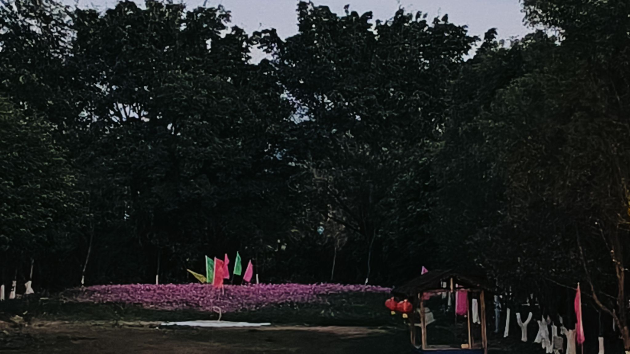 锦江温泉旅行图片 1